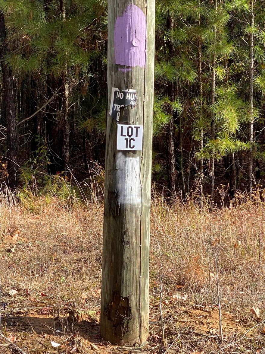 Lot 1C is an approx 10-Acre Lot located in Tract C.  Tract C begins on Hwy 89.  Acreage is wooded and fronts Hwy 89. Lot 1C is 1 of 4 lots available for purchase in Tract C. Grand Prairie Water and First Electric at Road.  Fantastic opportunity for a spacious home place, duplexes, triplexes, and/or quadplexes.  Take a drive out to see this lot or the other lots listed.  See Agent Remarks.