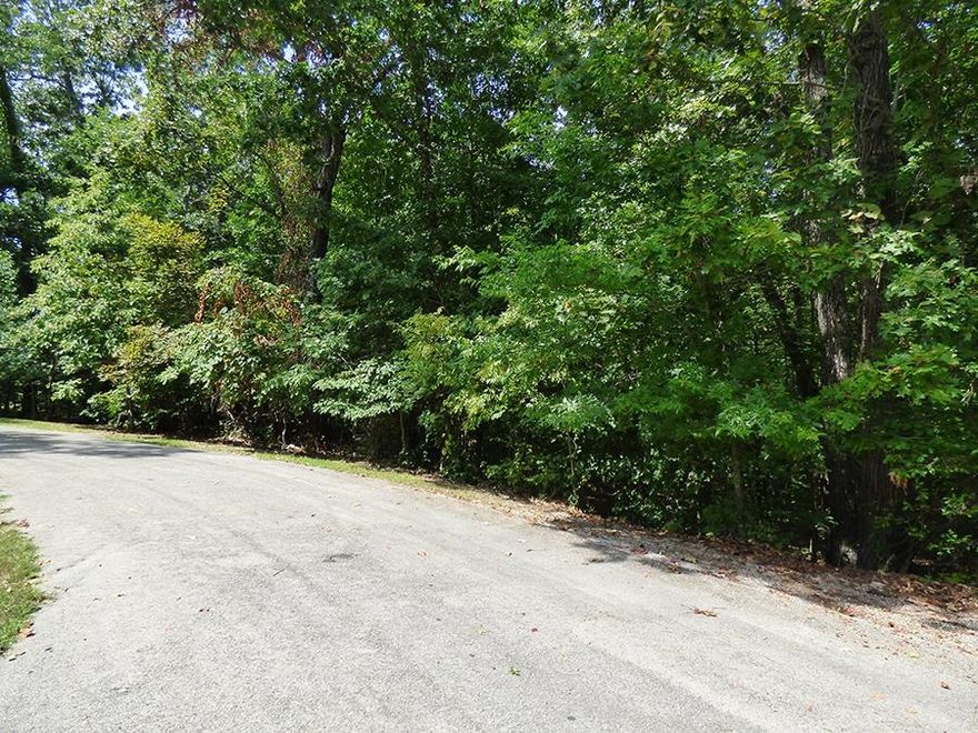 Two side by side lots with South Golf Course Frontage. These two lots would be a great location for that dream home you always wanted. Lot 8 overlooks hole #15 of the South Golf Course. You'll have plenty of space for any type home.