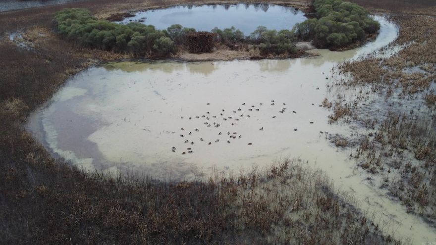 I am excited to share a new listing that just hit the market: the Lucky Duck 73. With recreational waterfowl properties in such high demand, this "turn-key" tract near Bald Knob, Arkansas, is a rare find and will not last long.  Recently revamped into a sportsman’s paradise, the property offers a diverse mix of approximately 43 acres of upland habitat and 30 acres of impounded GTR. The infrastructure is already in place, including new levees along the north, south, and western boundaries.  Managing wildlife habitat is made simple with a six-inch submersible electric well, perfect for managing water levels in the GTR and irrigating summer food plots. Between the diverse timber stand and the endless wildlife opportunities, this property leaves little to be desired.  Give us a call today, and we will help make you a landowner!