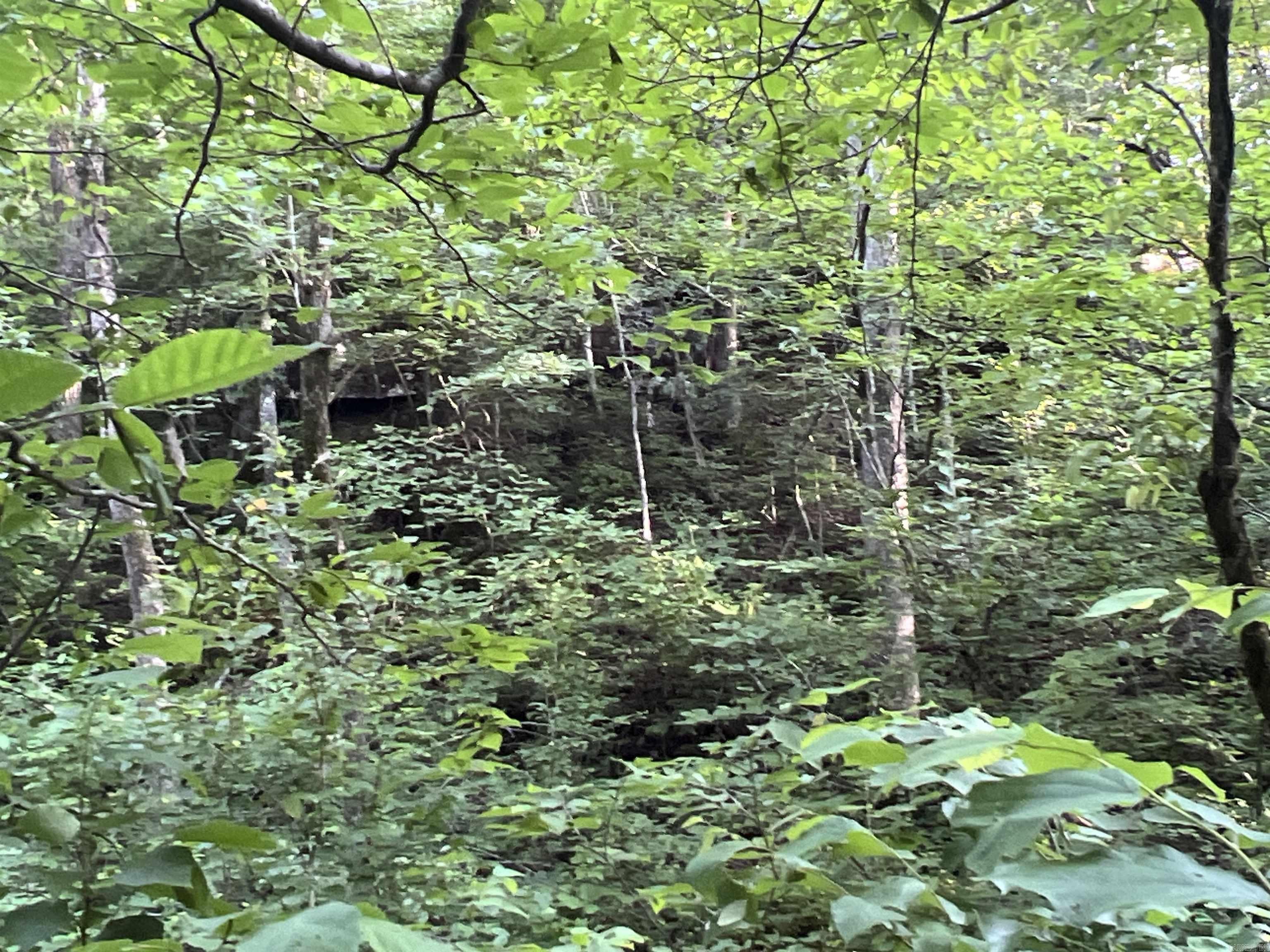 Metes & Bounds - Land