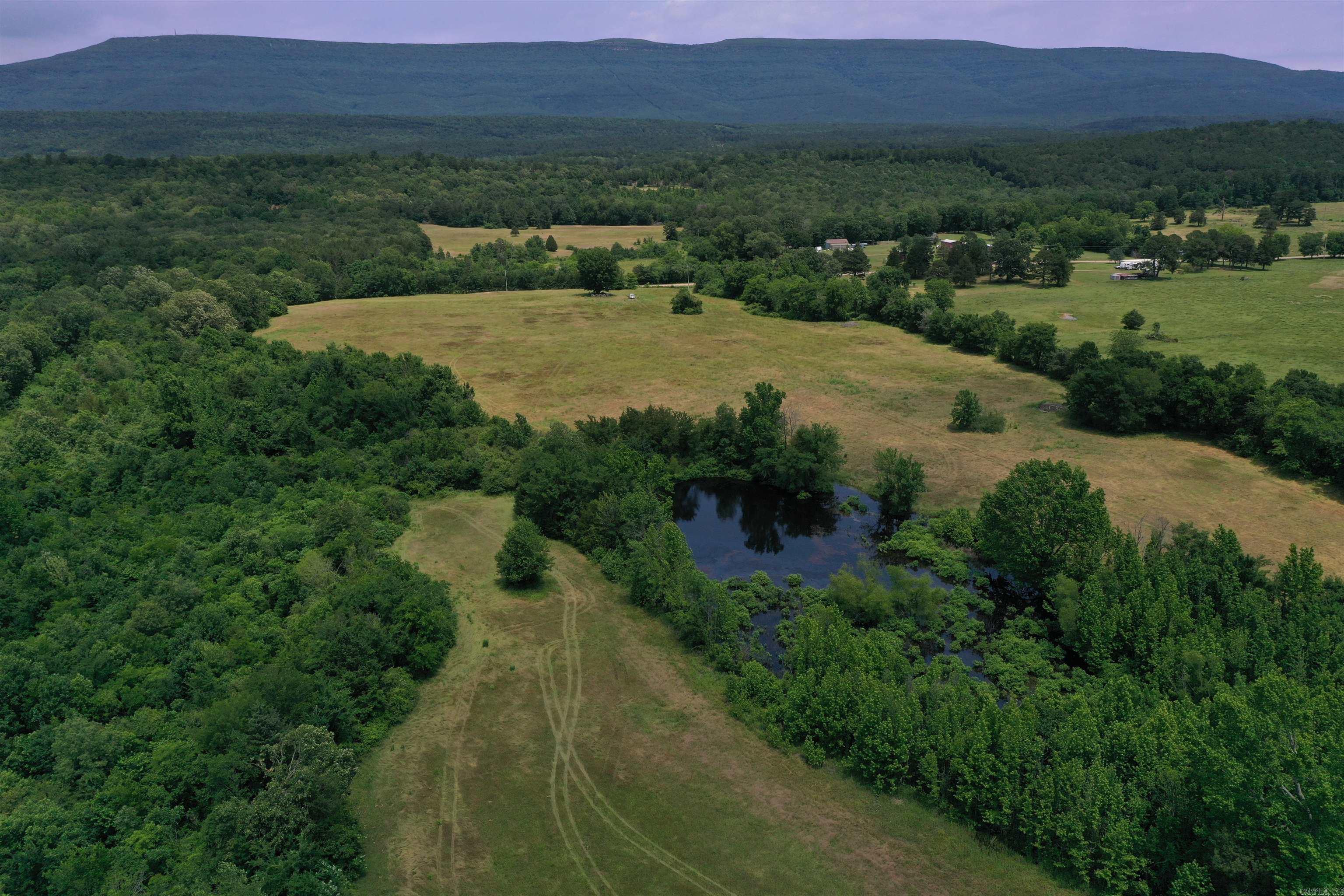 This Beautiful 115 +/- Acre Yell County Property has multiple choices for great build sites, all with awe-inspiring views. As you pull through the gate and to the top of the hill you are greeted with wide open grass pasture, complemented perfectly by huge old growth trees, and breathtaking views of Flood Mountain and Potato Hill Mountain to the South. To the North, there are great views of Mount Magazine, the Highest Peak between the Appalachian and Rocky Mountains. The flat and mostly open pasture has plenty of space for a home, shop, and any other barns or buildings that you might need. Some perimeter fencing is in place, and there is an ample amount of pasture for cattle or horses. • 115 +/- Acres • Mixture of Pasture and timber • Stocked Pond • Great Views of Mount Magazine to the North • Frontage on Highway 309 and Wallace Lane • Power, City water, and Fiberoptic internet available • Multiple great build sites • Large old growth oak trees • Some perimeter fencing in place • Great Views of Flood Mountain and Potato Hill Mountain to the South • Blue Mountain Lake boat ramp just over a mile away • Ouachita National Forest 3-mile drive to the south • Petit Jean River access nearby