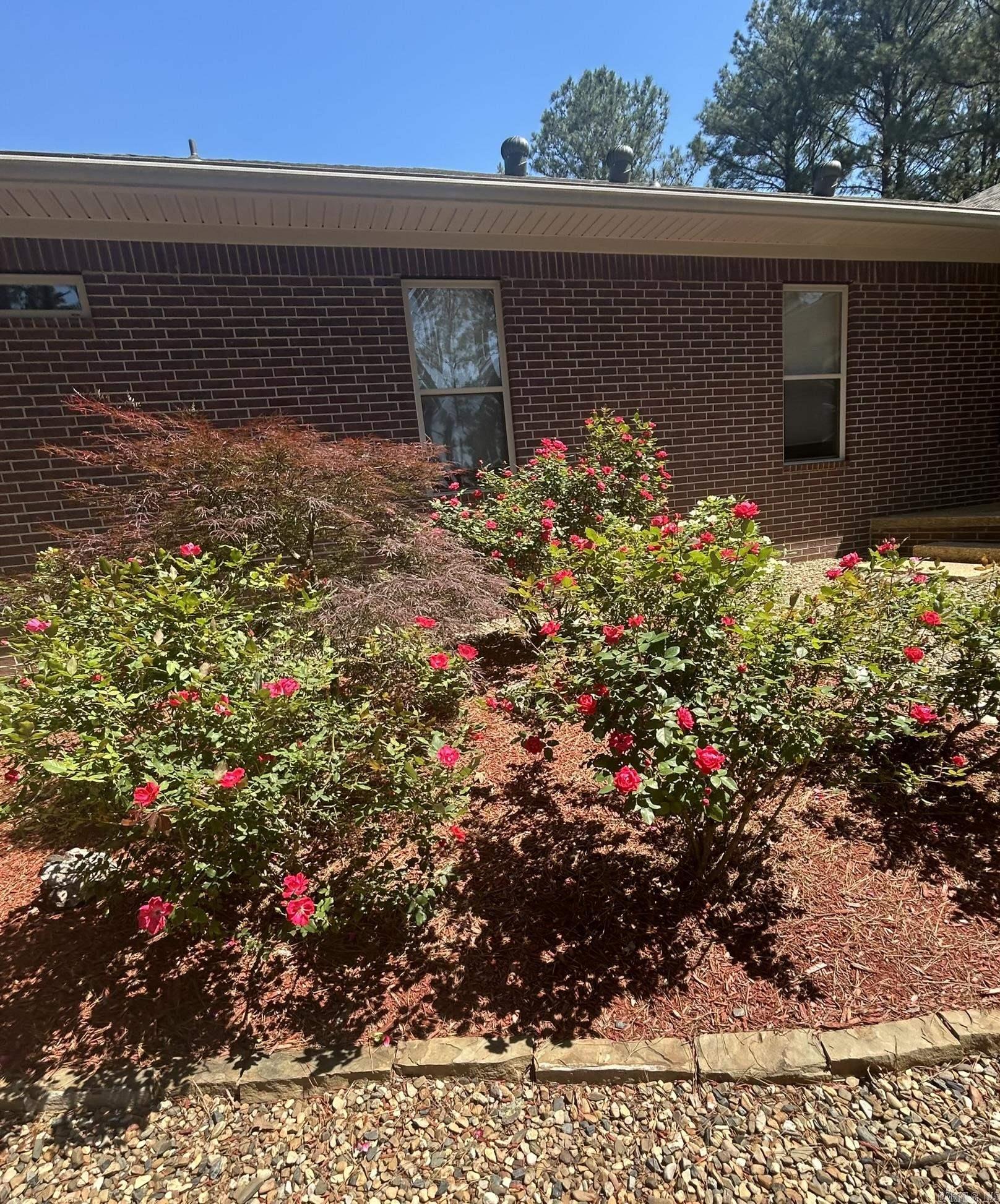 Isabella - Residential