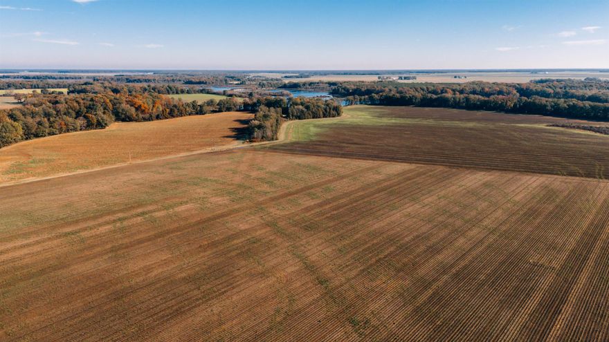 1,057 Acre Farm in Almyra, AR – Premier Hunting & Productive Farmland  Located in the heart of Arkansas' rich agricultural and wildlife Prairie, this exceptional 1,057-acre farm in Almyra offers a rare opportunity to own a prime property with diverse recreational and farming potential. Known for its outstanding duck, goose, and deer hunting, this farm has long been a sought-after destination for outdoor enthusiasts, while also featuring productive tillable acreage for agricultural use.  Total Acreage: 1,057.12 +/- acres Hunting: Renowned for its abundant wildlife, including ducks and deer, this farm is a prime hunting property. The wetlands and woodlands offer ideal habitat for waterfowl, while the open fields and dense timber provide excellent cover for deer. FSA Tillable Acres: 661.81 acres of high-quality tillable land, currently being farmed by a reliable tenant. The farm has exceptional water resources: a Little LaGrue Bayou spillway, a 30-acre reservoir, partial irrigation pipes instead of canals, three relifts, and two wells. Income: The property provides three separate, stable revenue sources as it is currently leased for farming, duck/goose hunting, and deer hunting.