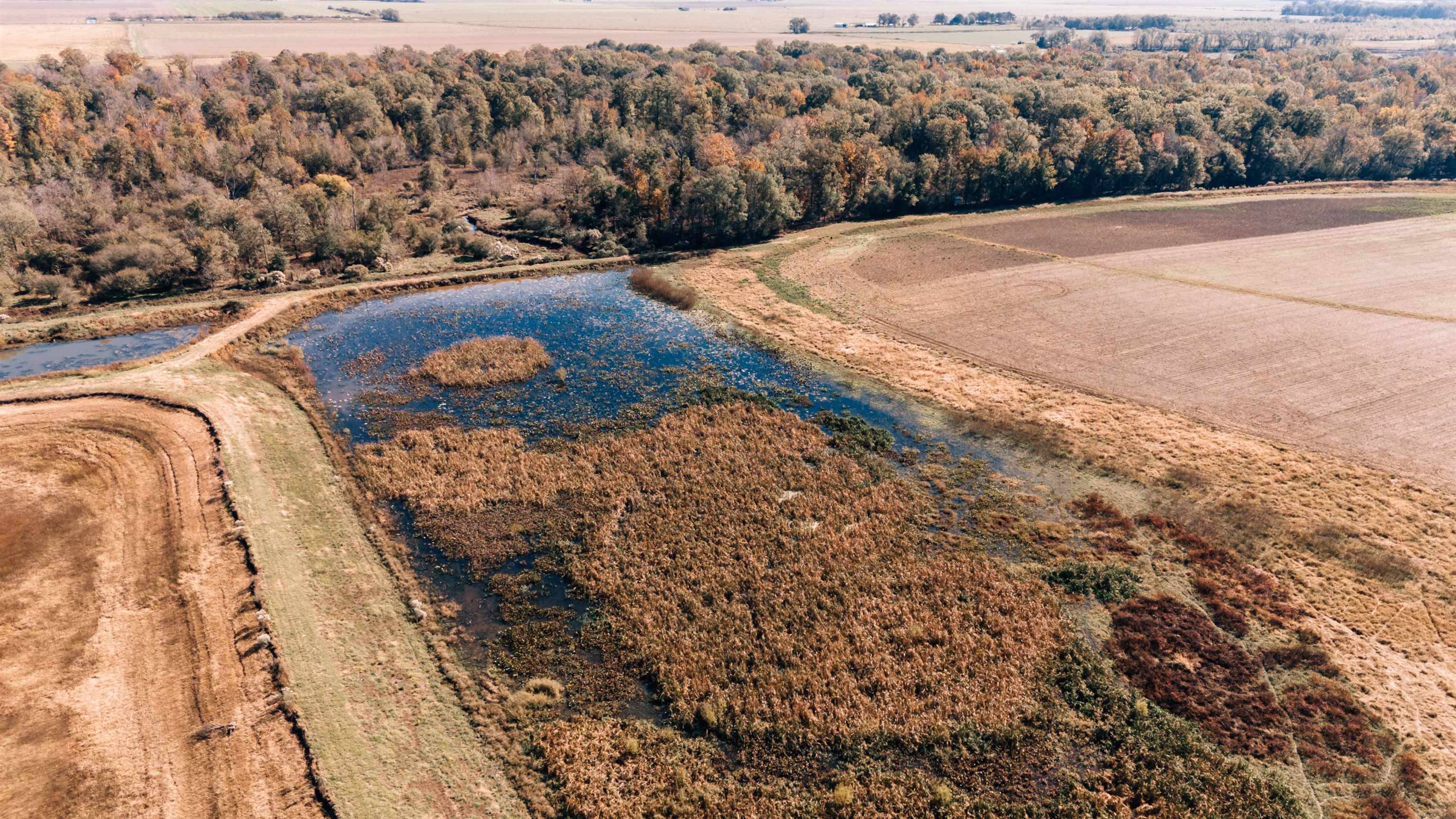 Not in Subdivision - Farm