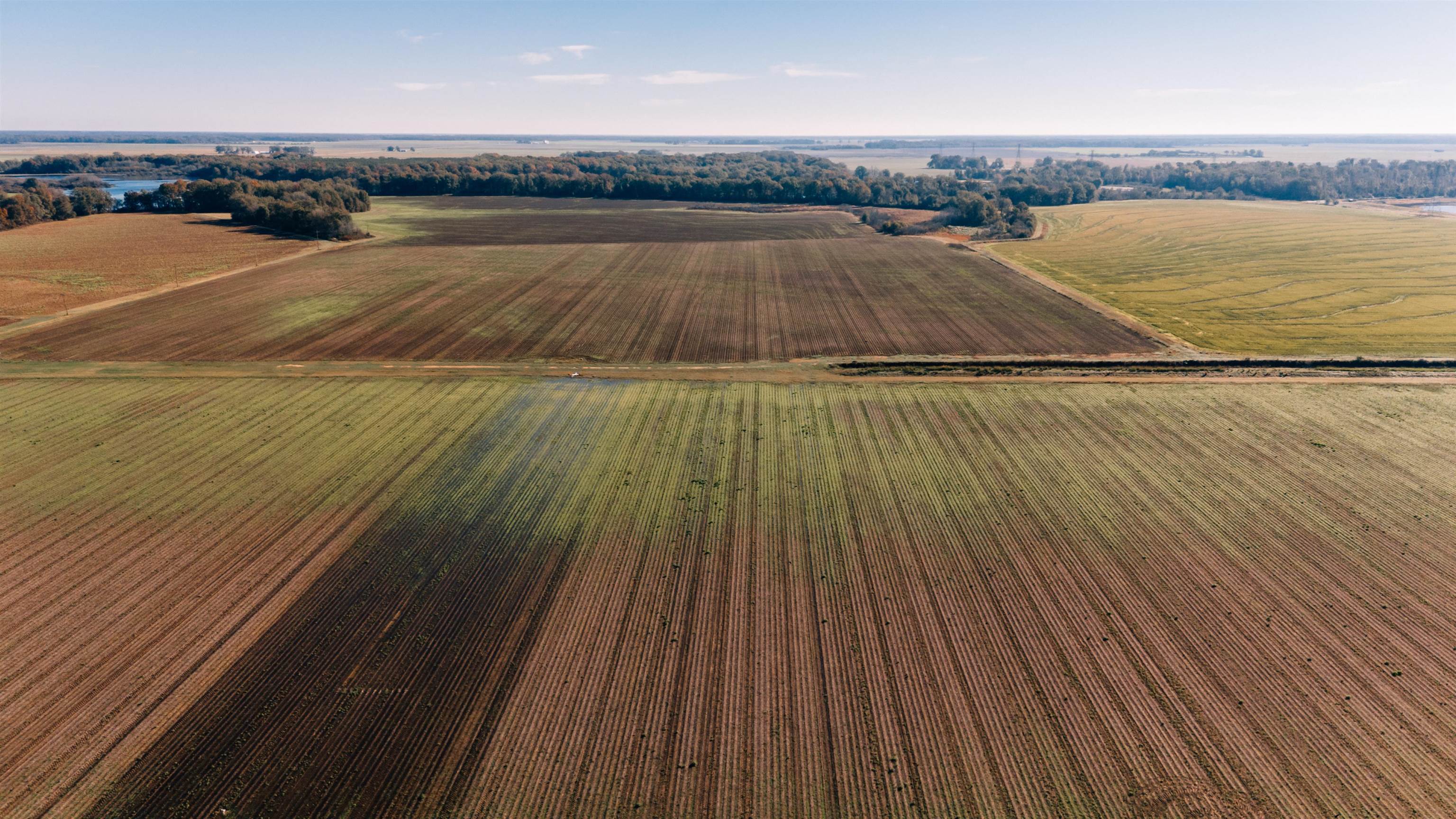 Not in Subdivision - Farm