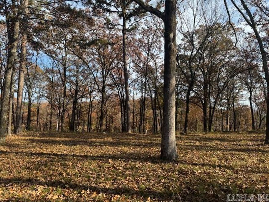 Beautiful Orchard Hill building lot with fabulous view and amazing building site.  In city limits and on Conway Corp.  Minimum building square footage is 2800.  Subject to final city plat approval.