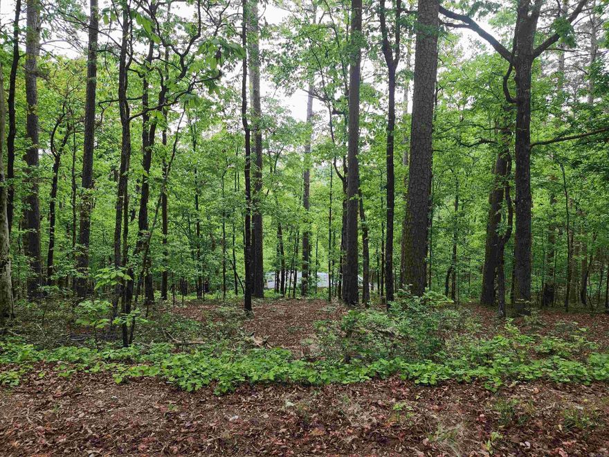 Secluded, wooded lot with mature trees! Location provides quick access to Cortez Golf Course and Lake Cortez! Own your own piece of paradise in the World's largest Gated Community.