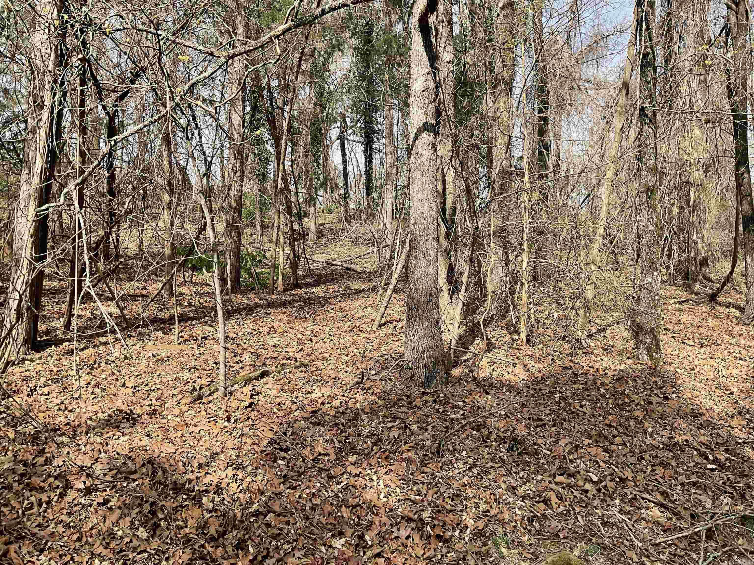 Eden Isle-Lakeland - Land