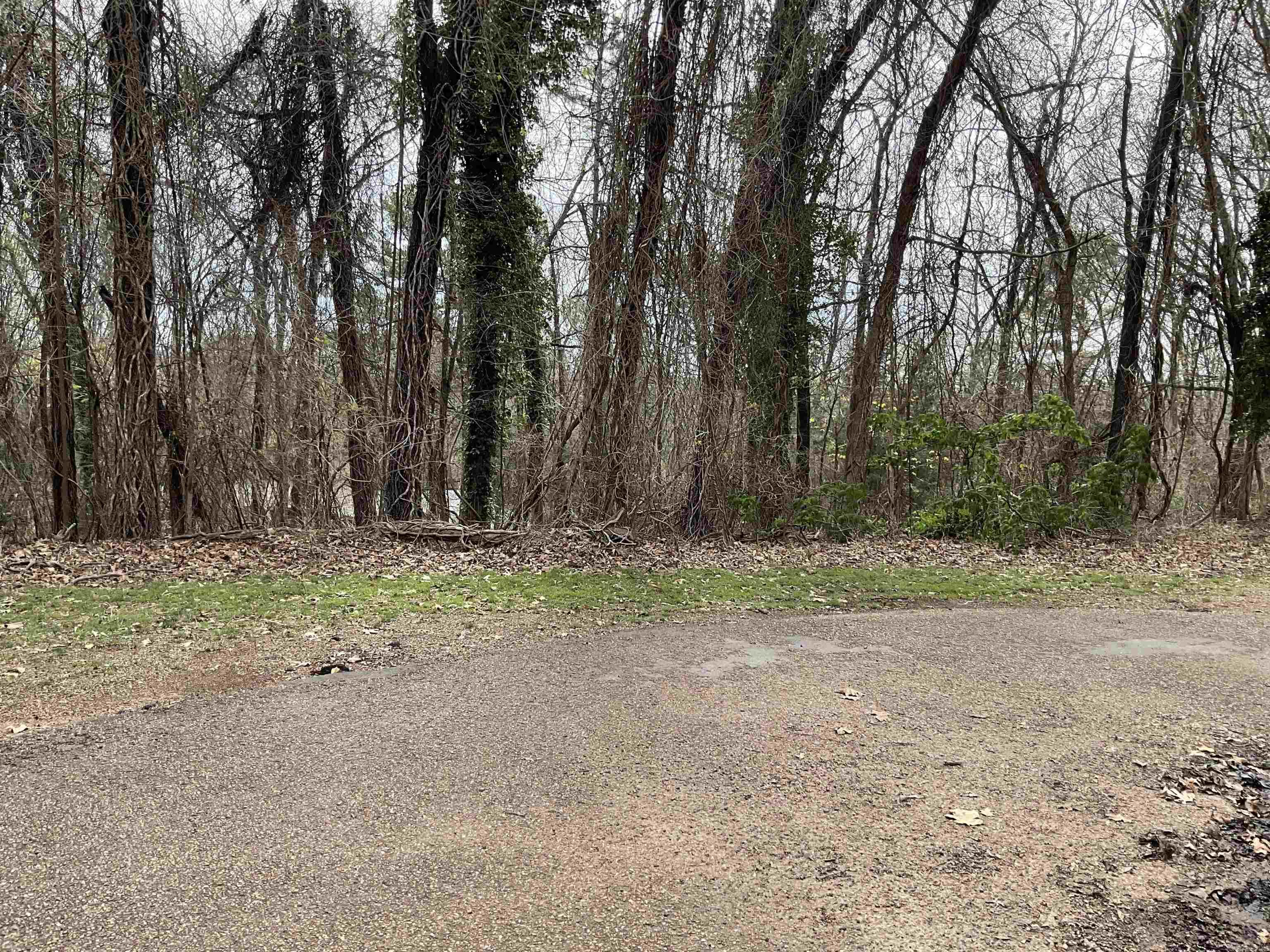 Eden Isle-Lakeland - Land