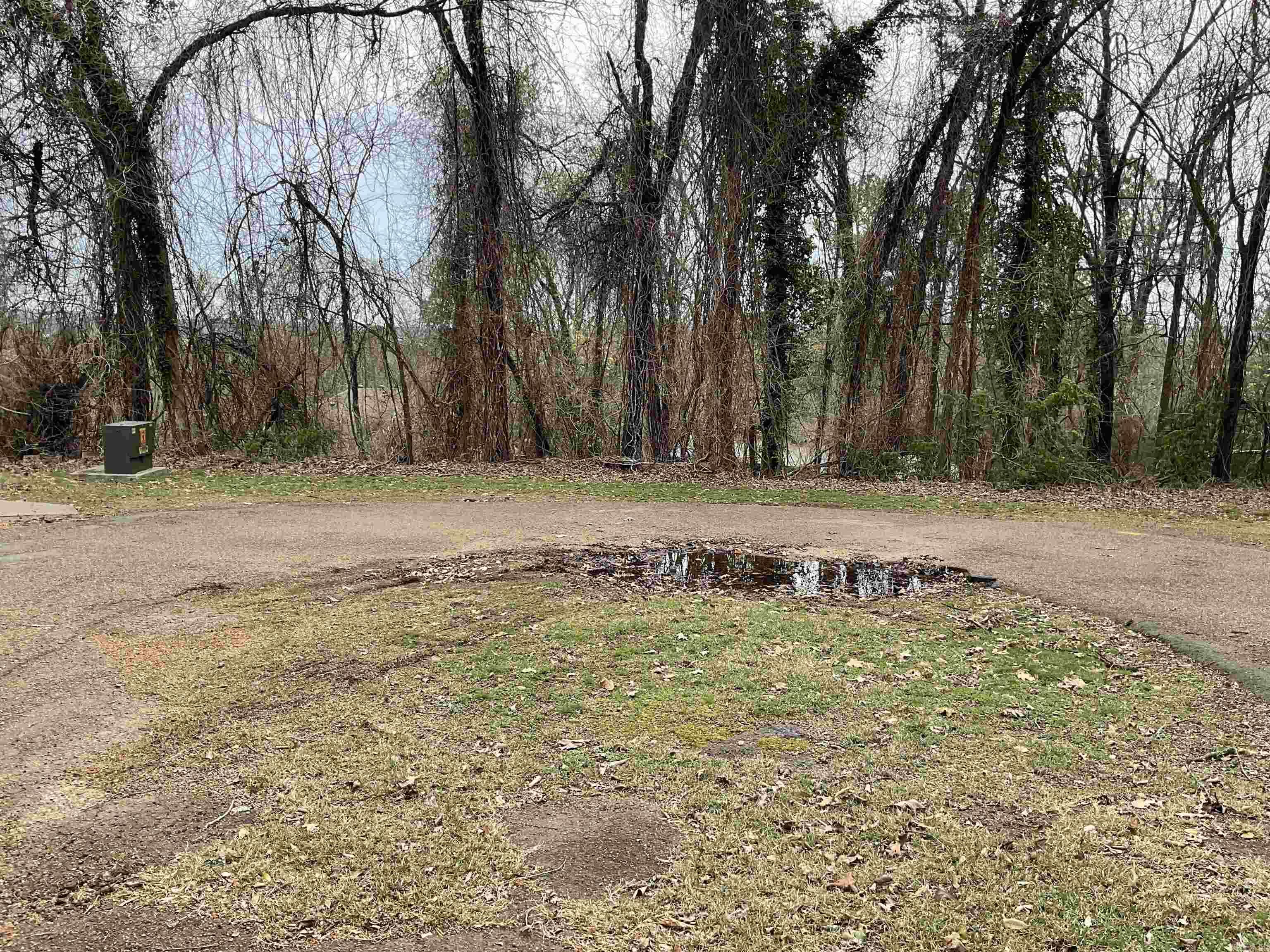 Eden Isle-Lakeland - Land