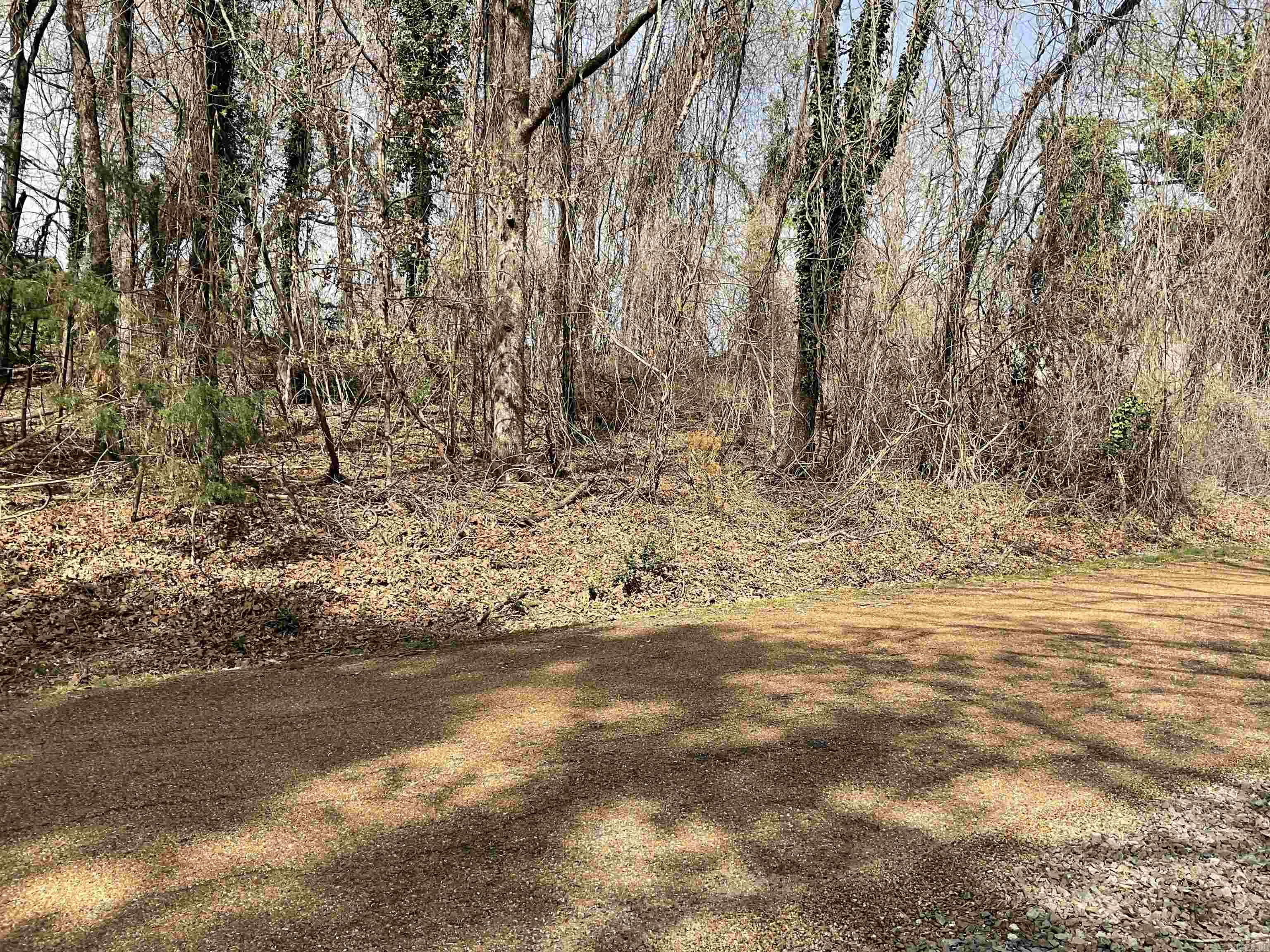 Eden Isle-Lakeland - Land