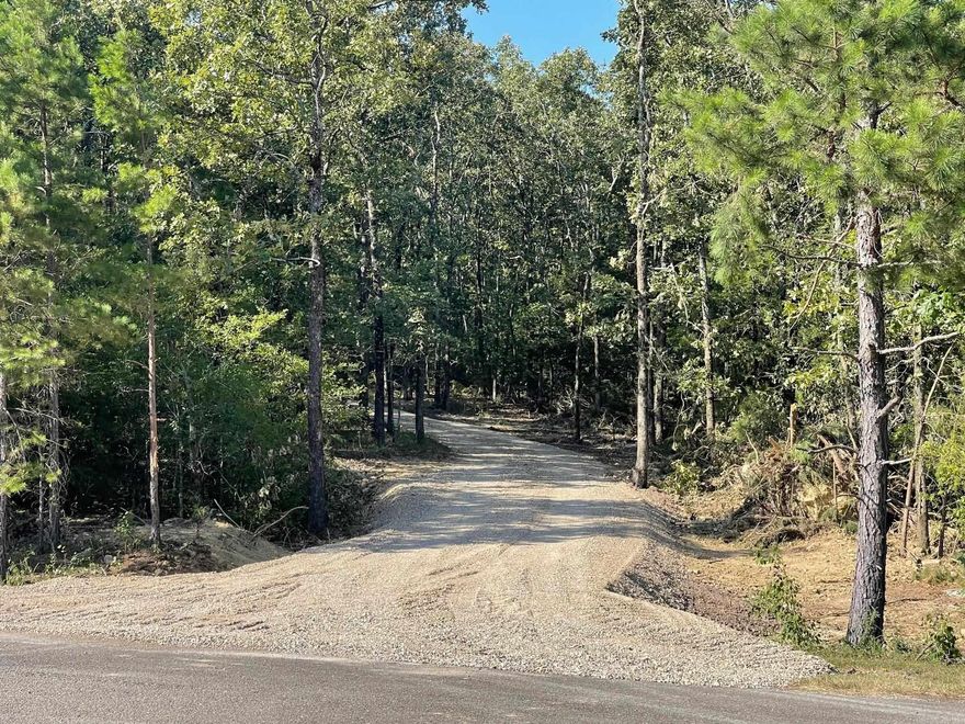 Nice wooded property in the city limits next to the Senior Center and close to Wal-Mart.  Several nice building sites on this property.  property can be sub divided.  Seller has built a new road into the Property!