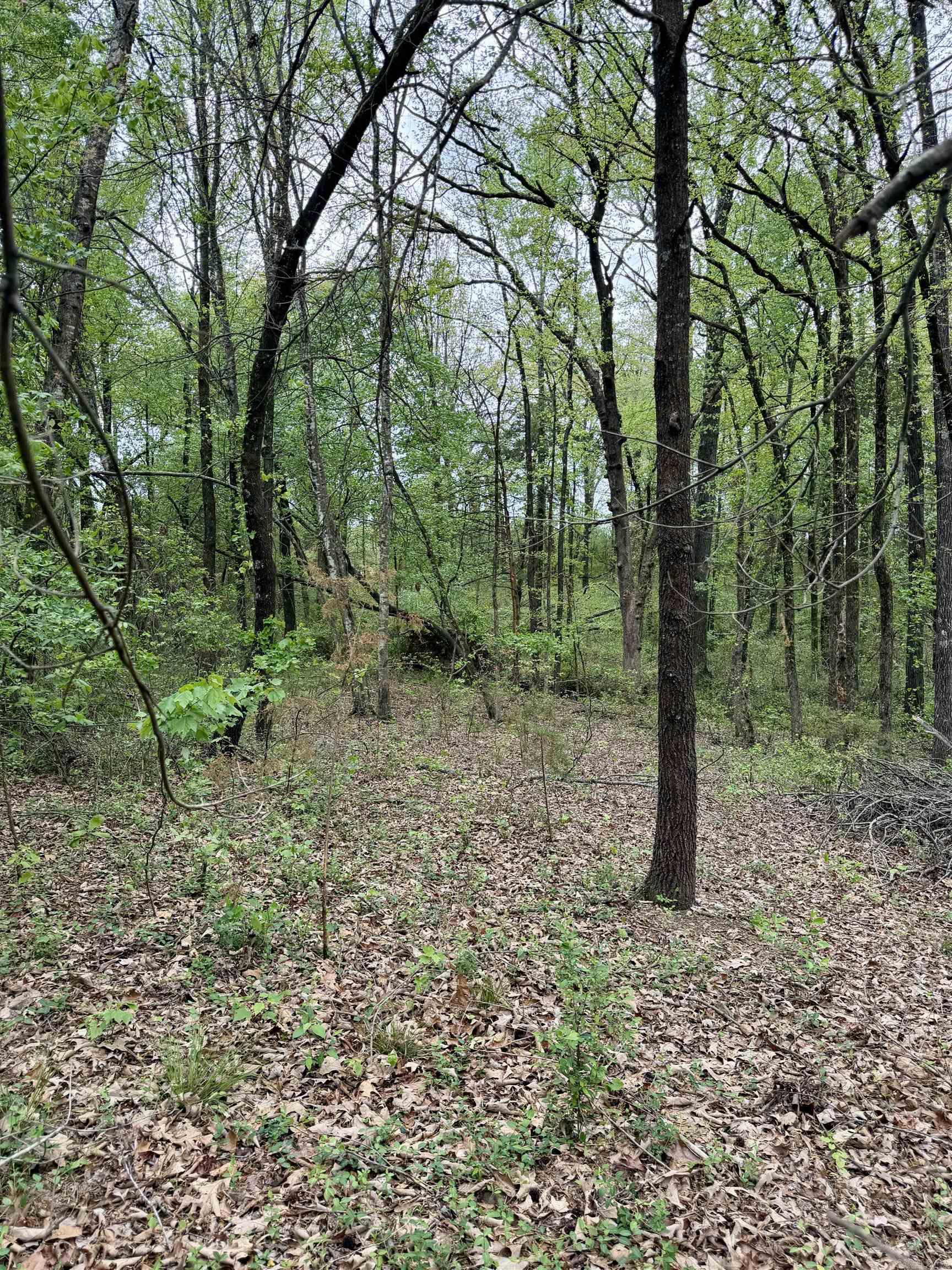 Metes & Bounds - Land