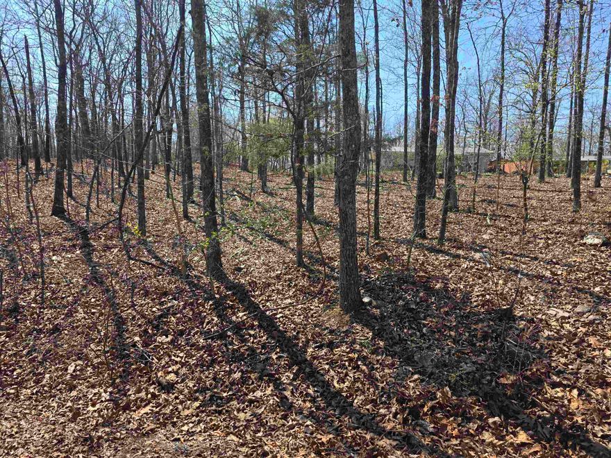 Nice large lot with a gentle front to back upward slope. This lot sits up above the road. Lots of trees and lots of nature and wildlife. Come check this lot out, check out the view and see where you want to put your vacation home or your forever home. Retire here and fish 7 different lakes and golf 2 different 18-hole golf courses. Don't forget about the beautiful South Fork River that flows right through the Village. Shop in Old Hardy town and trout fish the Spring River. That's living the Cherokee Village lifestyle.