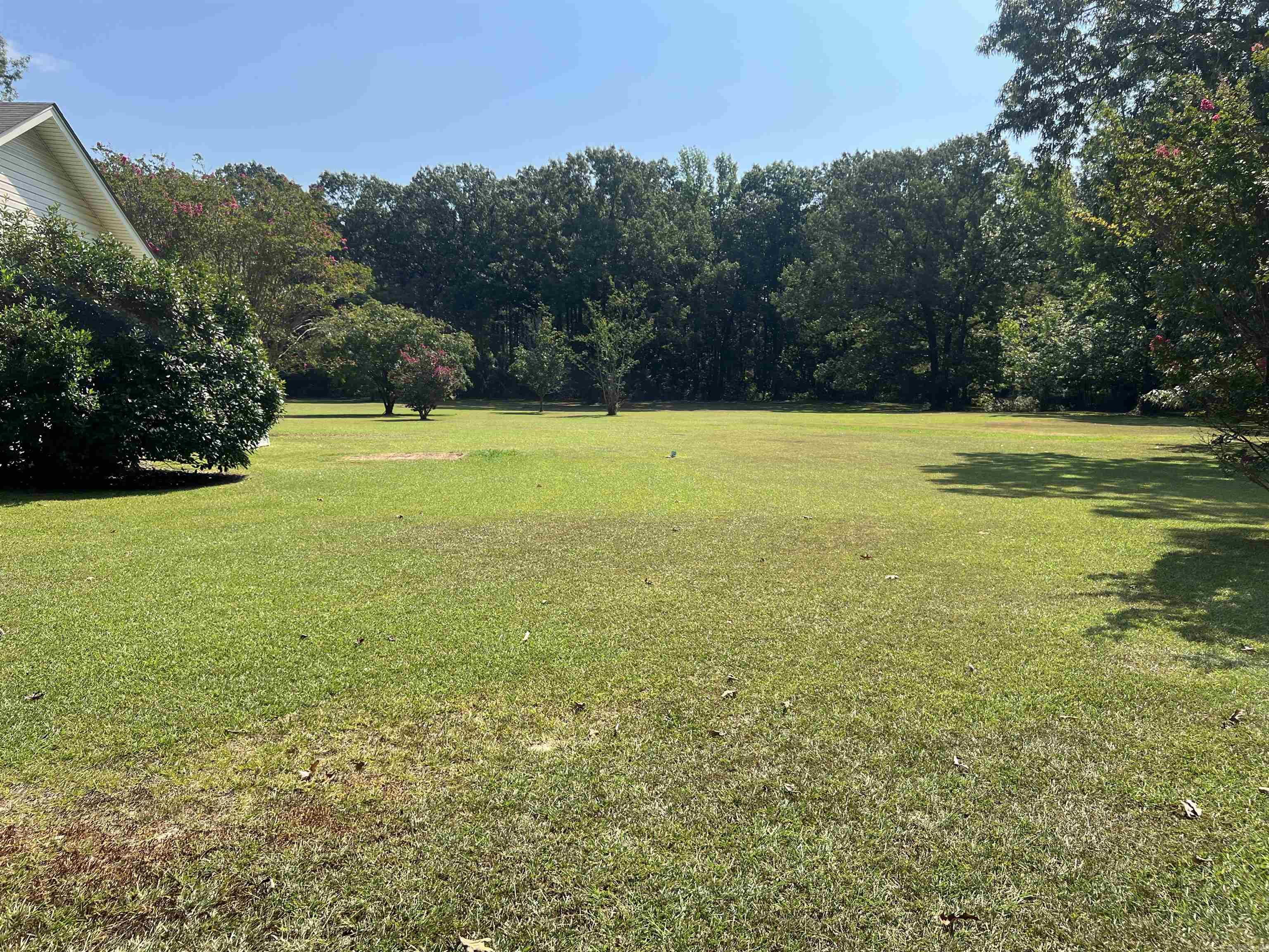 RAINTREE ESTATES - Residential