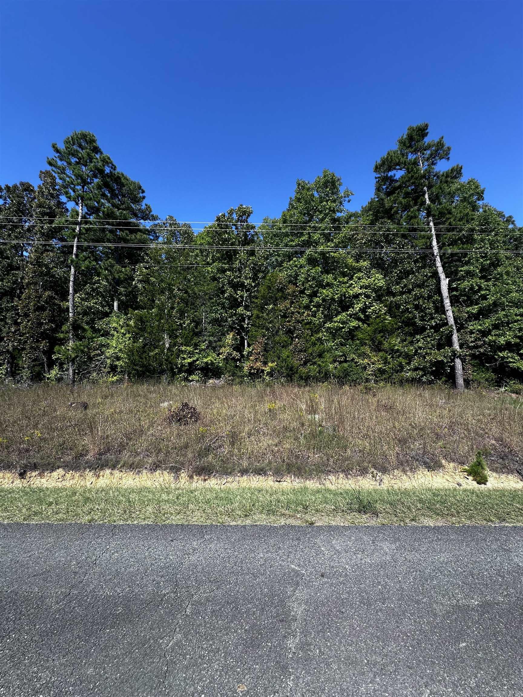 Discover the perfect escape with this stunning 2.75-acre parcel of rural vacant land, ideally located just a short drive from town. This tranquil setting offers a unique opportunity to immerse yourself in nature while still enjoying the conveniences of modern living. Nestled among timber, this property boasts a diverse landscape that provides ample privacy and a serene atmosphere. The rich wildlife surrounding the area is perfect for nature enthusiasts, offering opportunities for birdwatching, hiking, and exploring the great outdoors. Imagine waking up to the sounds of chirping birds and rustling leaves, all while being just minutes away from the amenities of town. This land is perfect for building your dream home, a cozy cabin, or even a weekend getaway. Whether youāre looking for a peaceful retreat or a place to cultivate your own oasis, this property has endless potential. Donāt miss out on this rare opportunity to own a slice of rural paradise. Schedule a visit today and envision the possibilities that await you!