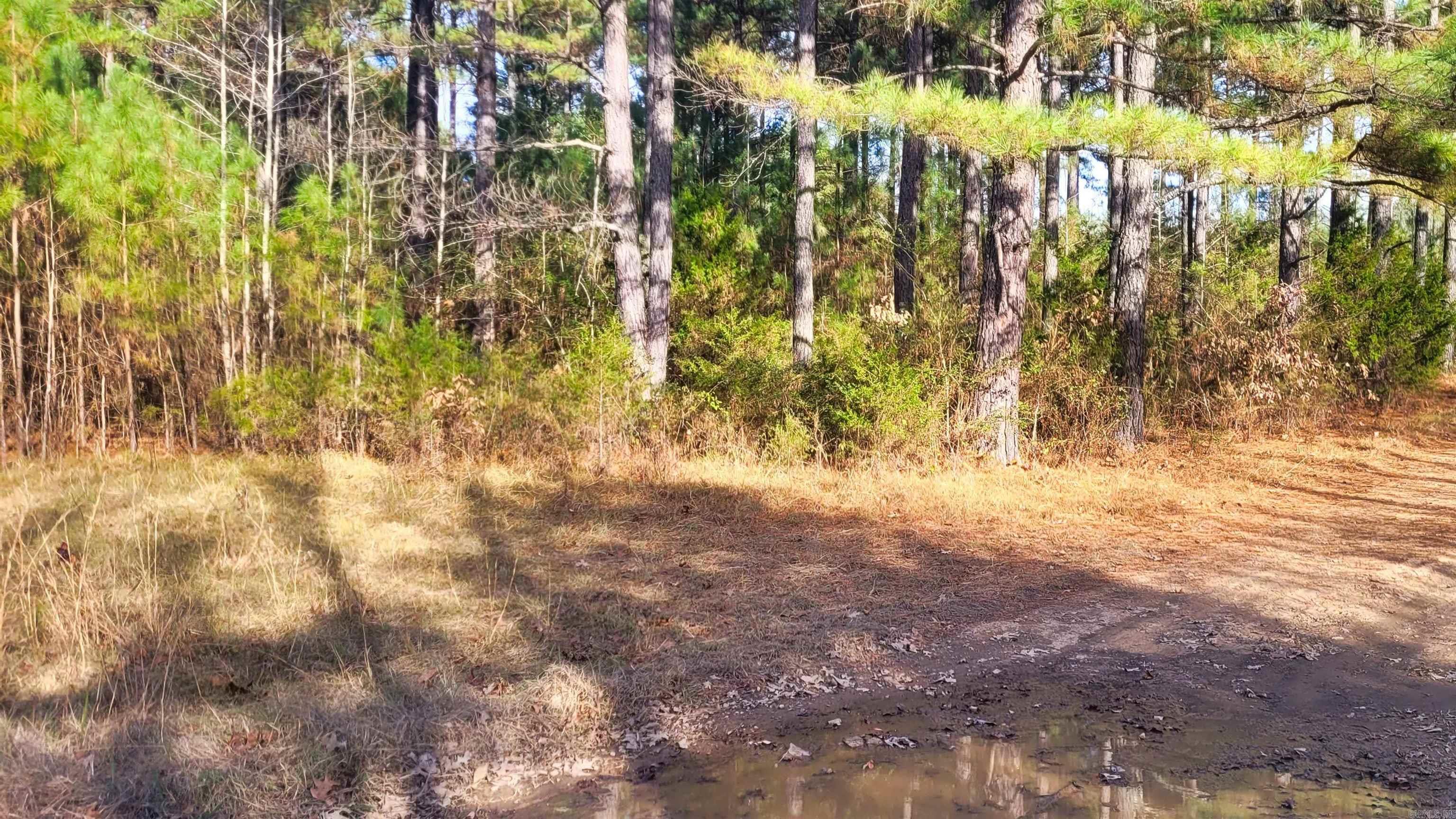 Not in Subdivision - Land