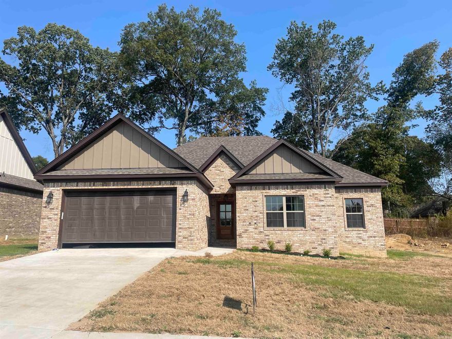 Step right up to another Billy Stain Construction masterpiece! This excellent new construction checks all the boxes, including double vanities in the master bath, a custom tile shower, luxury vinyl throughout the downstairs, all in Conway's newest neighborhood!