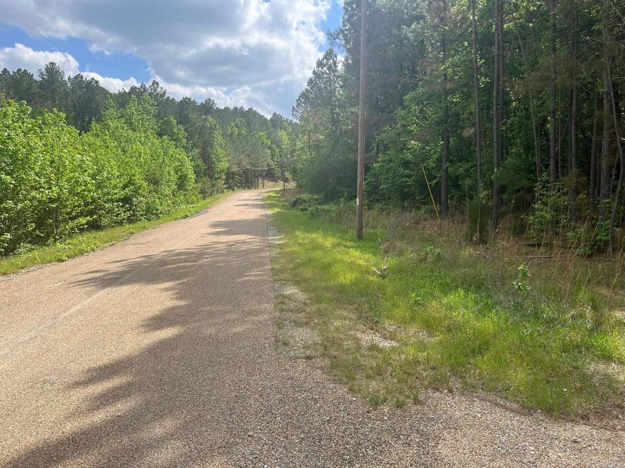 Discover the perfect blend of privacy and natural beauty with this 11-acre tract on Ten Mile Rd. in Hot Springs. Ideal for your dream home, this property offers multiple potential building sites with scenic mountain views and a peaceful, rural setting. With no restrictions, you’ll have the freedom to design and build exactly what you envision—whether it’s a custom home, cabin retreat, or weekend getaway.  The land features a great mix of open space and wooded areas, providing both usability and seclusion. Abundant wildlife makes this property a nature lover’s paradise, perfect for enjoying the outdoors right out your back door. Convenient paved road frontage ensures easy access year-round, while still maintaining that quiet, country feel.  Located just a short drive from all the amenities of Hot Springs, in Fountain Lake School District, you’ll enjoy the best of both worlds—privacy and convenience. Opportunities like this are getting harder to find—don’t miss your chance to own a beautiful piece of Arkansas land with endless potential.