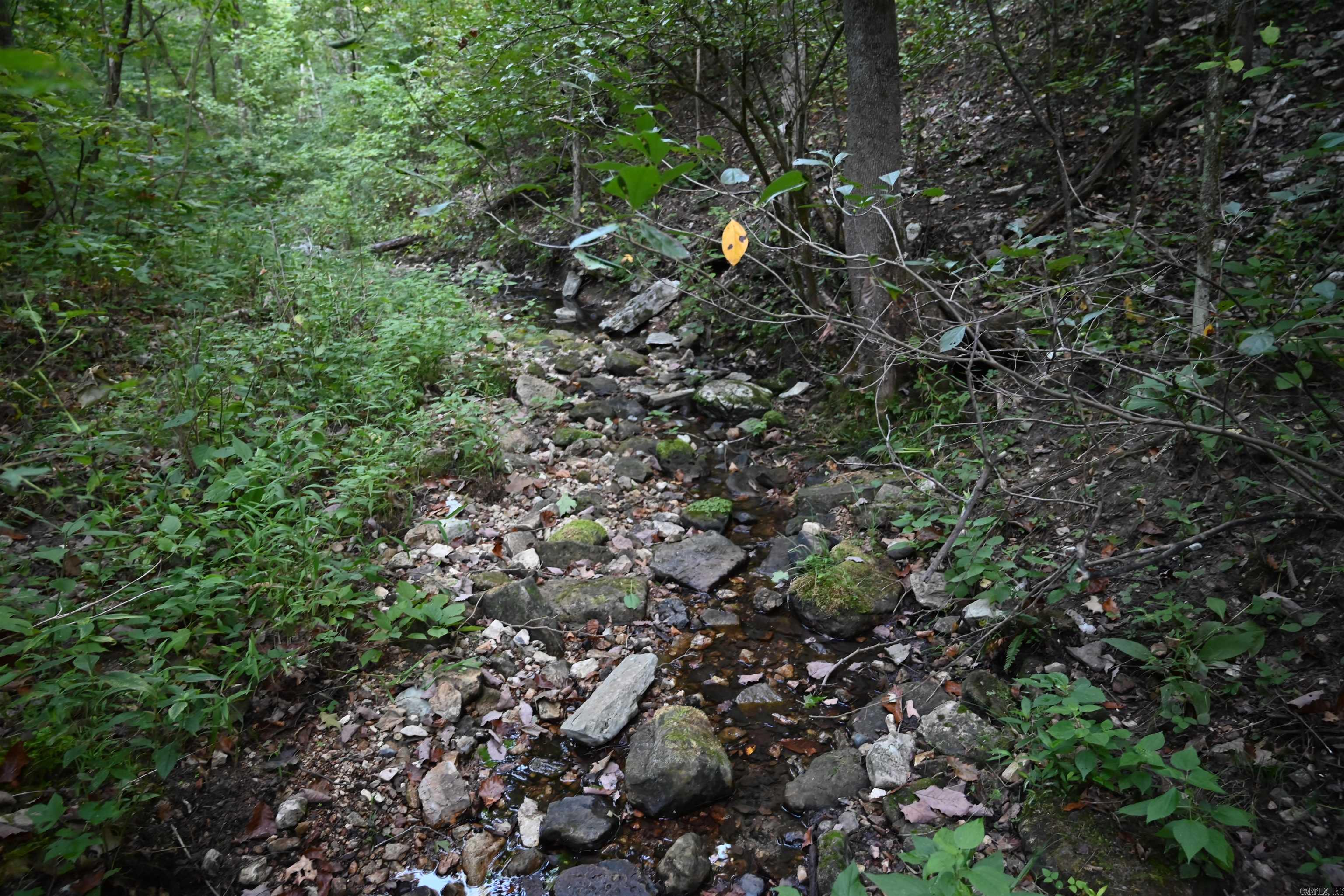 Metes & Bounds - Land