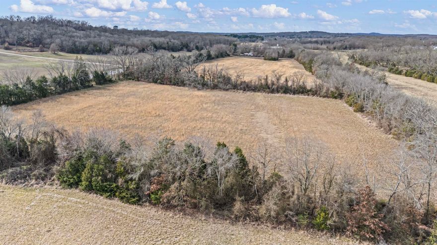 Perfect land to build your forever home, with enough acres for cows, horses, and chickens!