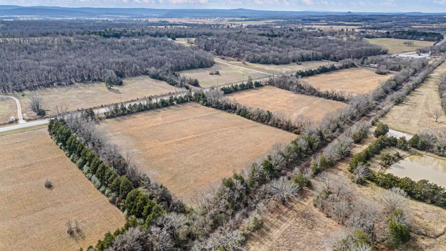 Perfect land to build your forever home, with enough acres for cows, horses, and chickens!