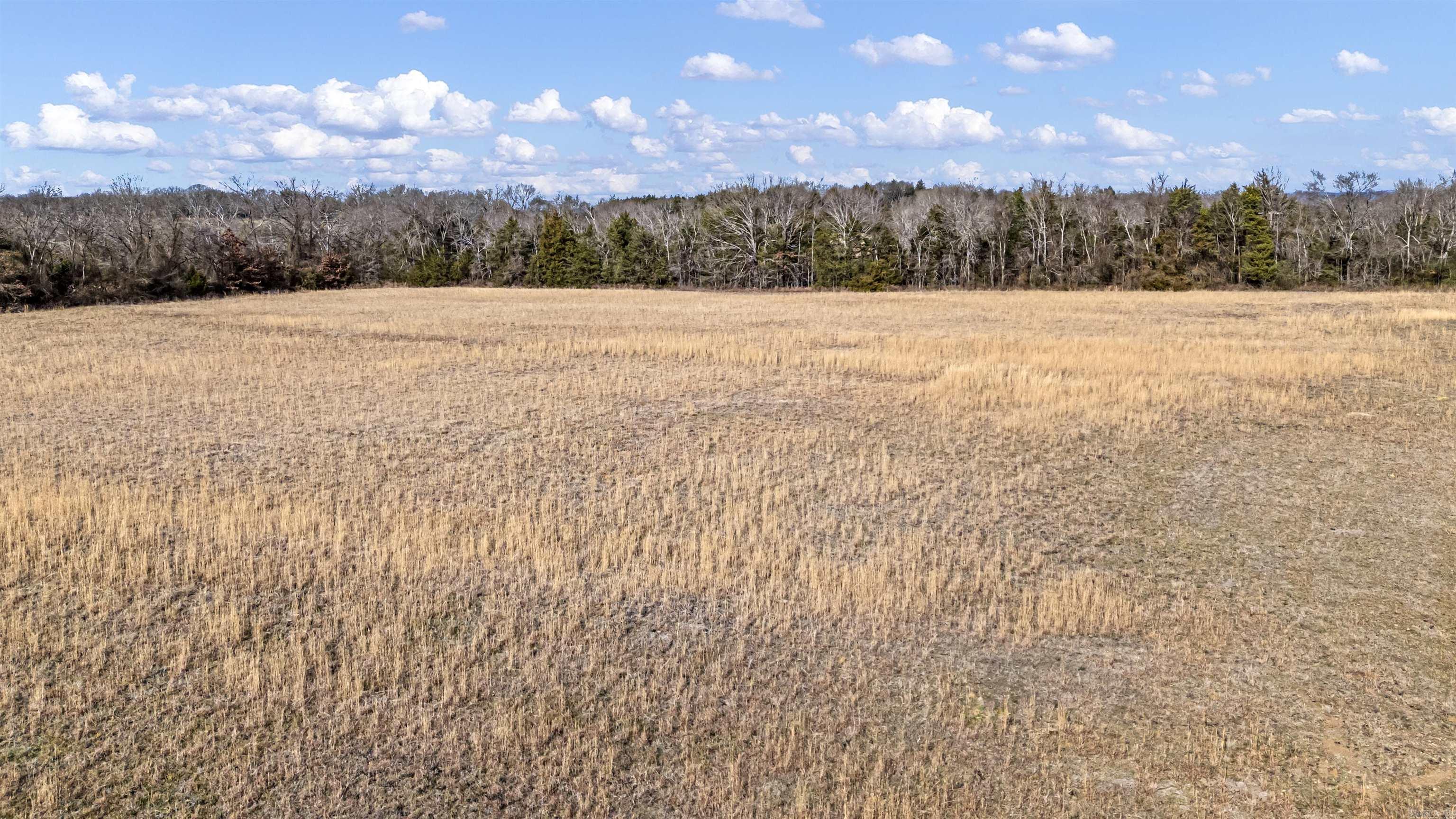 CITY OF BRANCH OUT L - Land