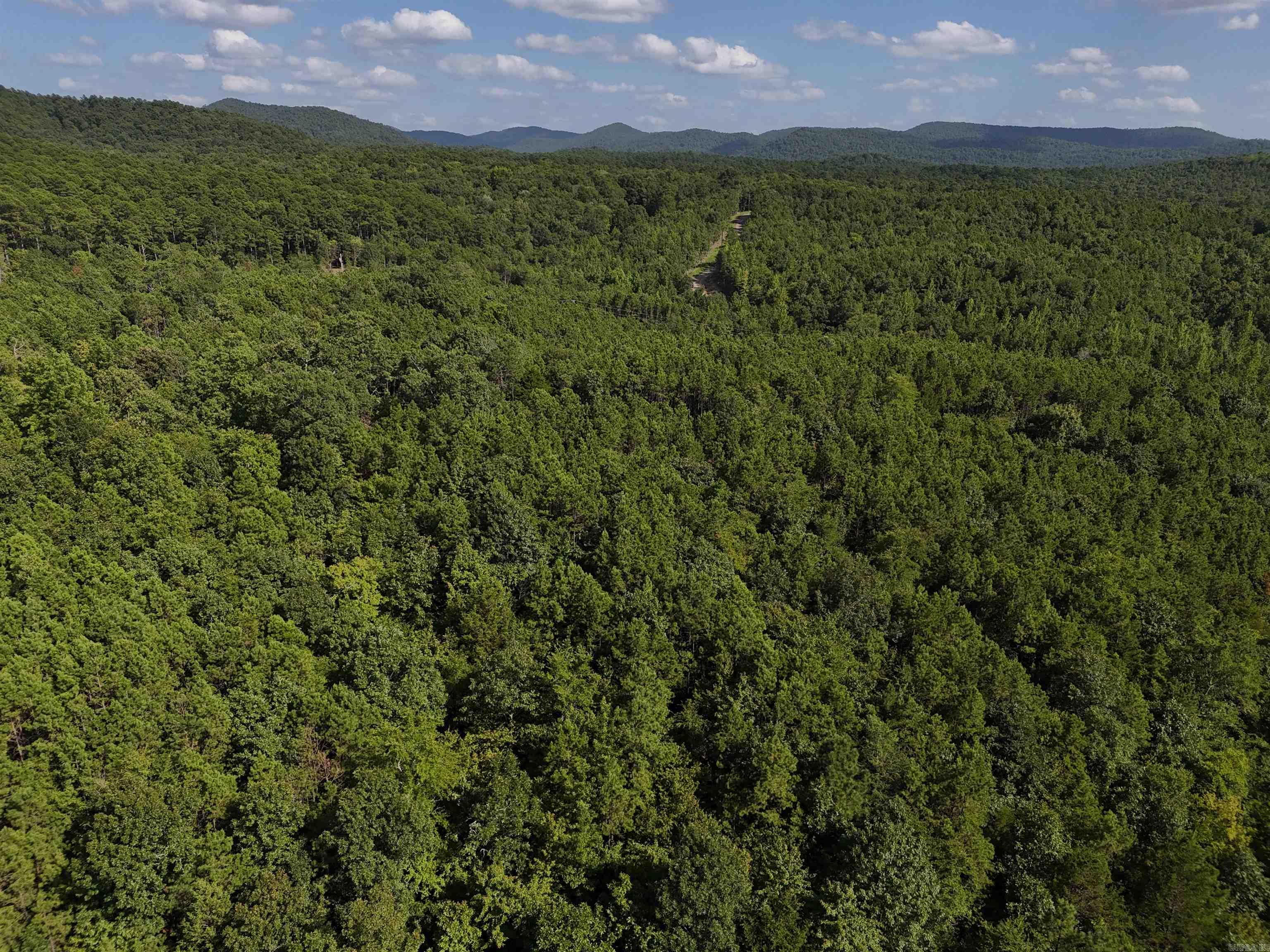 3.685 acres waiting for your new home in the beautiful Rustic Ridge Subdivision! Enjoy mountain views, peaceful surroundings, wildlife, and a great location just minutes to downtown Mena. Ride straight to the Wolf Pen Gap west trailhead which is just 12 miles away. Electric is available, and a survey is completed. Also has a wet weather creek along the northwestern boundary. This lot is a beautiful place to build, relax and explore - come take a look today!