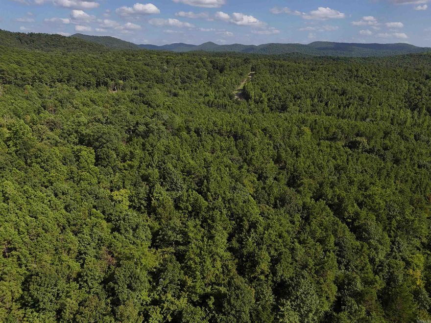 3.685 acres waiting for your new home in the beautiful Rustic Ridge Subdivision! Enjoy mountain views, peaceful surroundings, wildlife, and a great location just minutes to downtown Mena. Ride straight to the Wolf Pen Gap west trailhead which is just 12 miles away. Electric is available, and a survey is completed. Also has a wet weather creek along the northwestern boundary. This lot is a beautiful place to build, relax and explore - come take a look today!