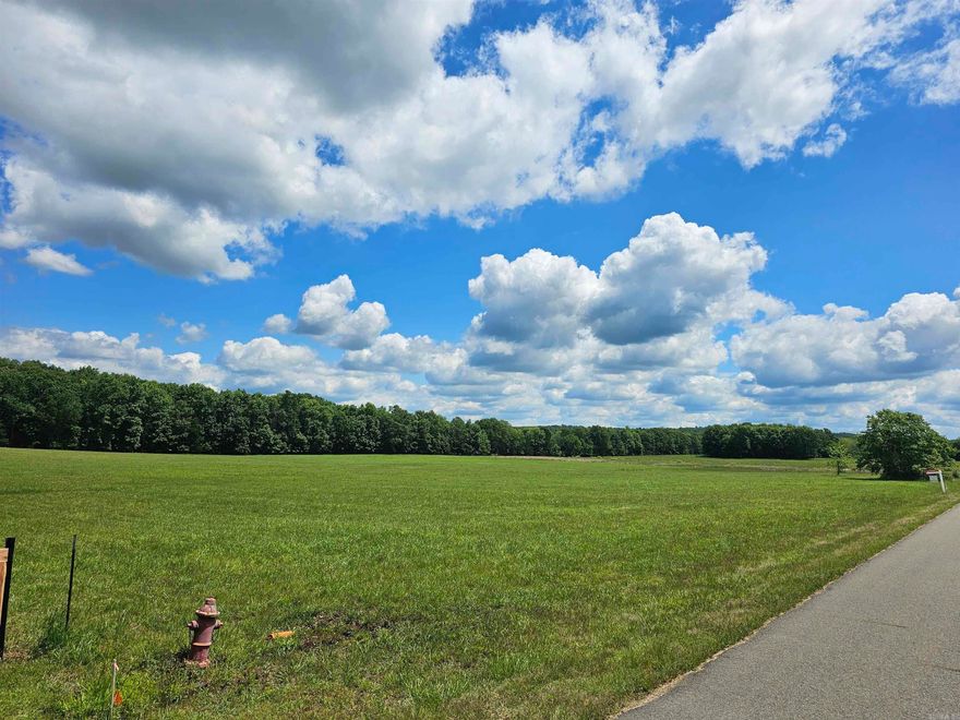 Escape to your personal slice of paradise in central Arkansas and own a piece of tranquil countryside, where serenity meets abundant wildlife! Let this stunning 10-acre property be your canvas to build your dream home. Enjoy breathtaking sunsets, starlit nights, and peaceful walks alongside the resident deer and the occasional wild turkey. Tucked away in Mayflower, the gated subdivision of Stone Hill Ranch Estates offers the best of all worlds; a gated community with country living, yet only minutes from Maumelle, Conway, Little Rock and North Little Rock for all your dining and shopping needs.  Welcome to Stone Hill Ranch. Welcome home!  **MOTIVATED SELLERS** see agent remarks