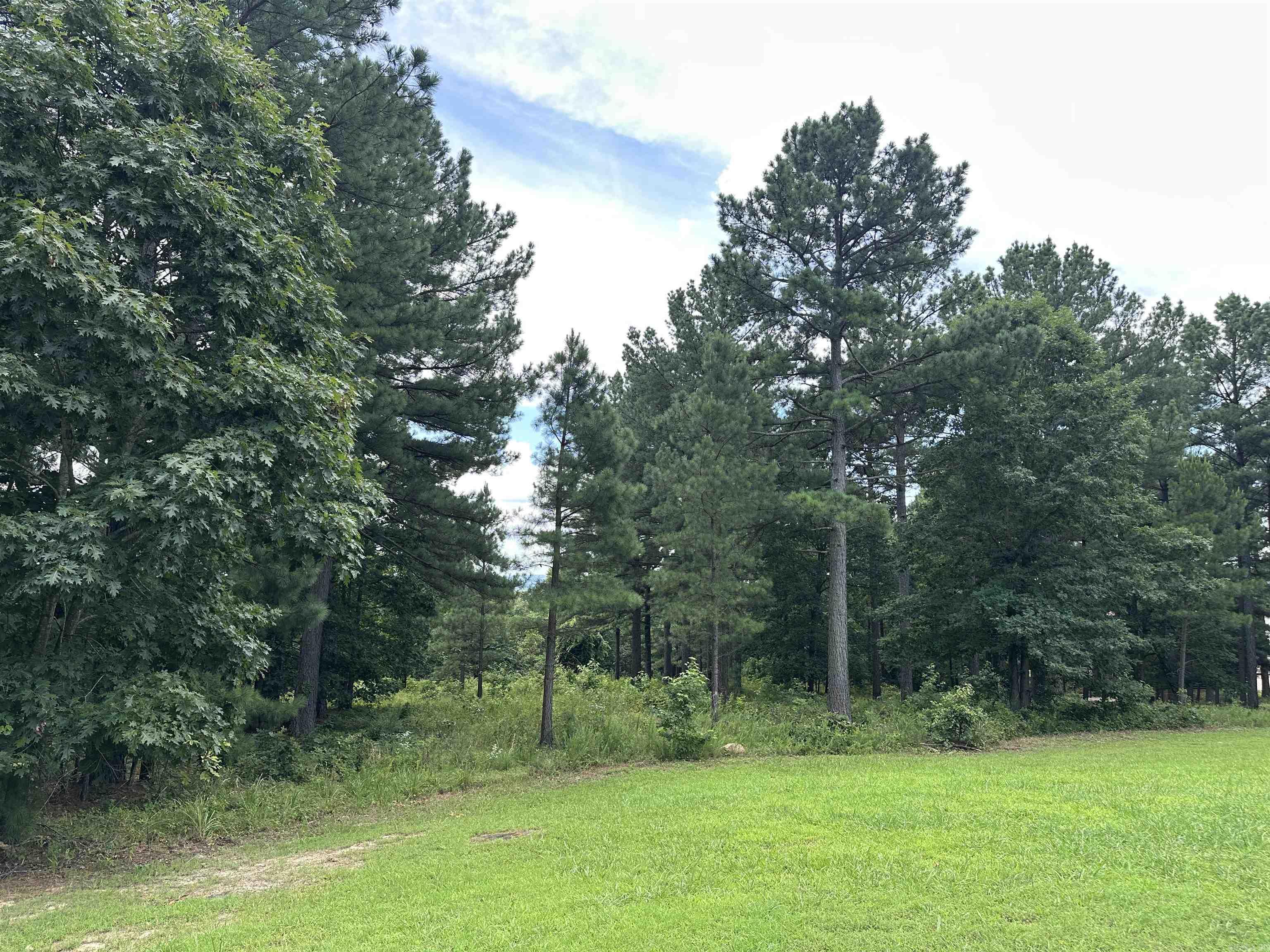 Holley Mountain Airpark - Land