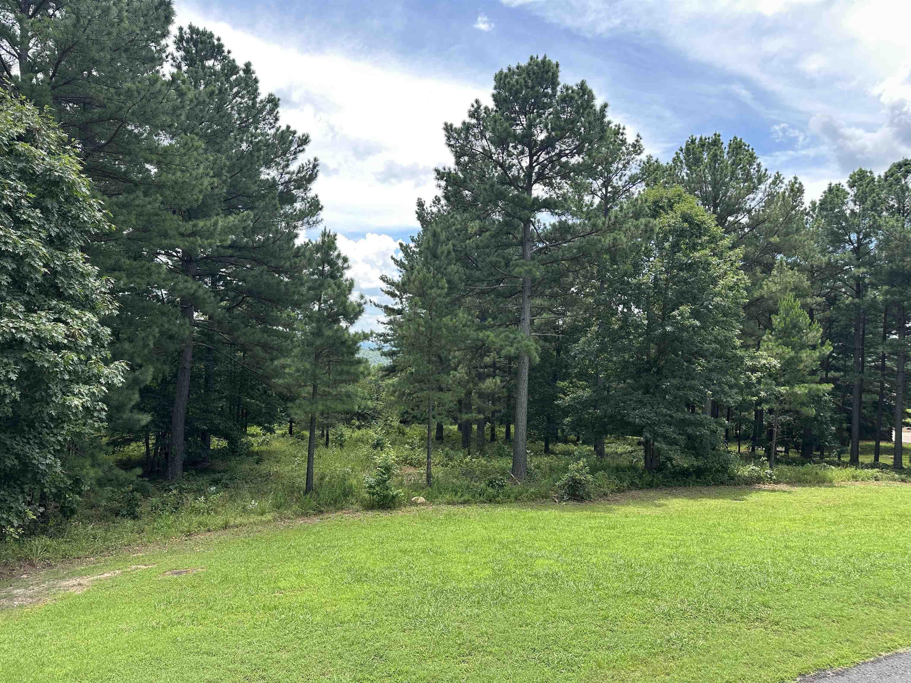 Holley Mountain Airpark - Land
