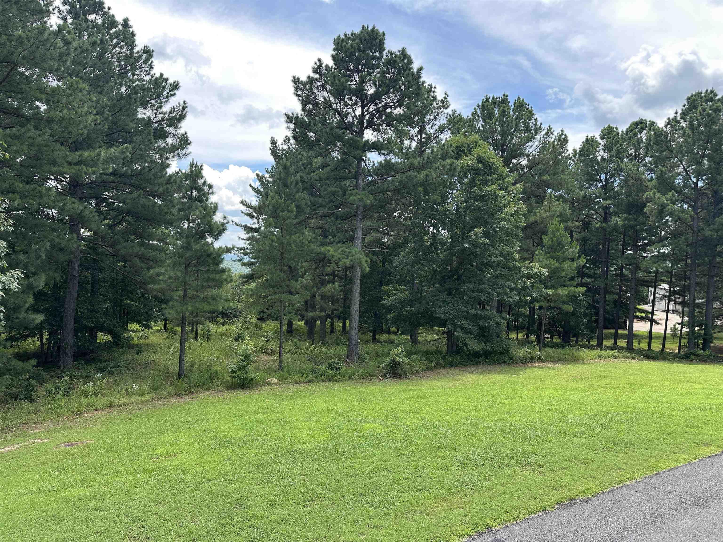 Holley Mountain Airpark - Land