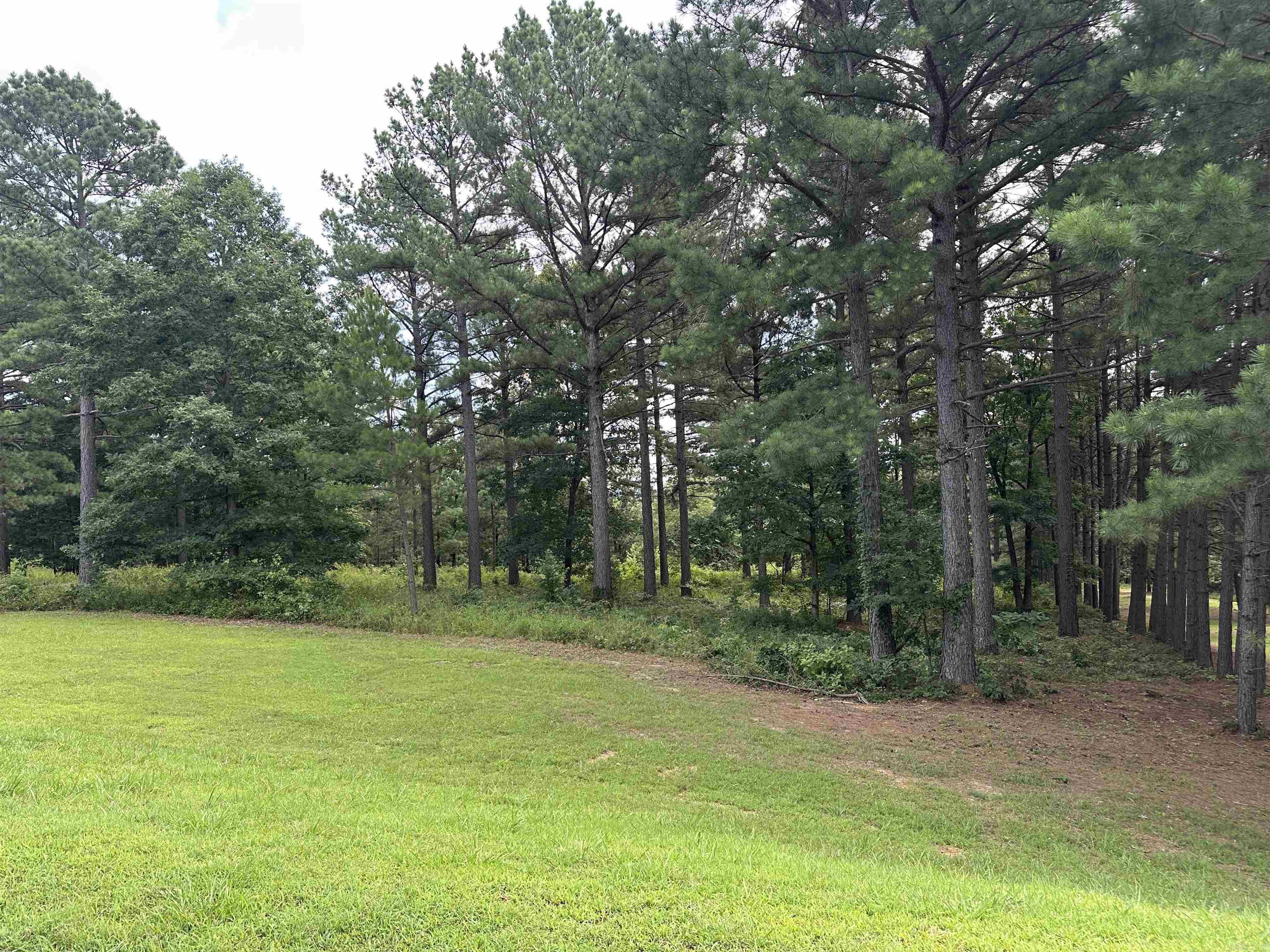 Holley Mountain Airpark - Land