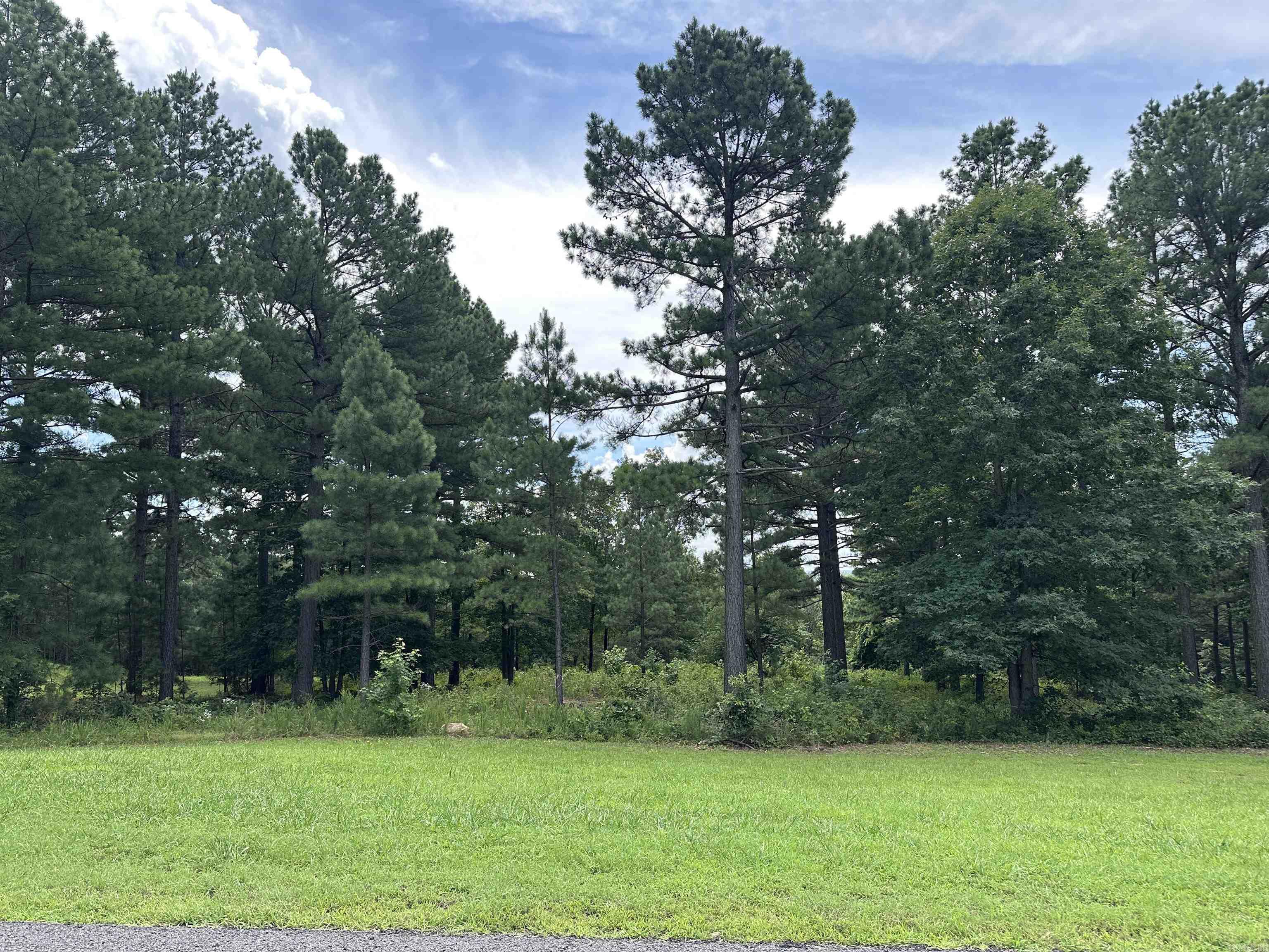 Holley Mountain Airpark - Land