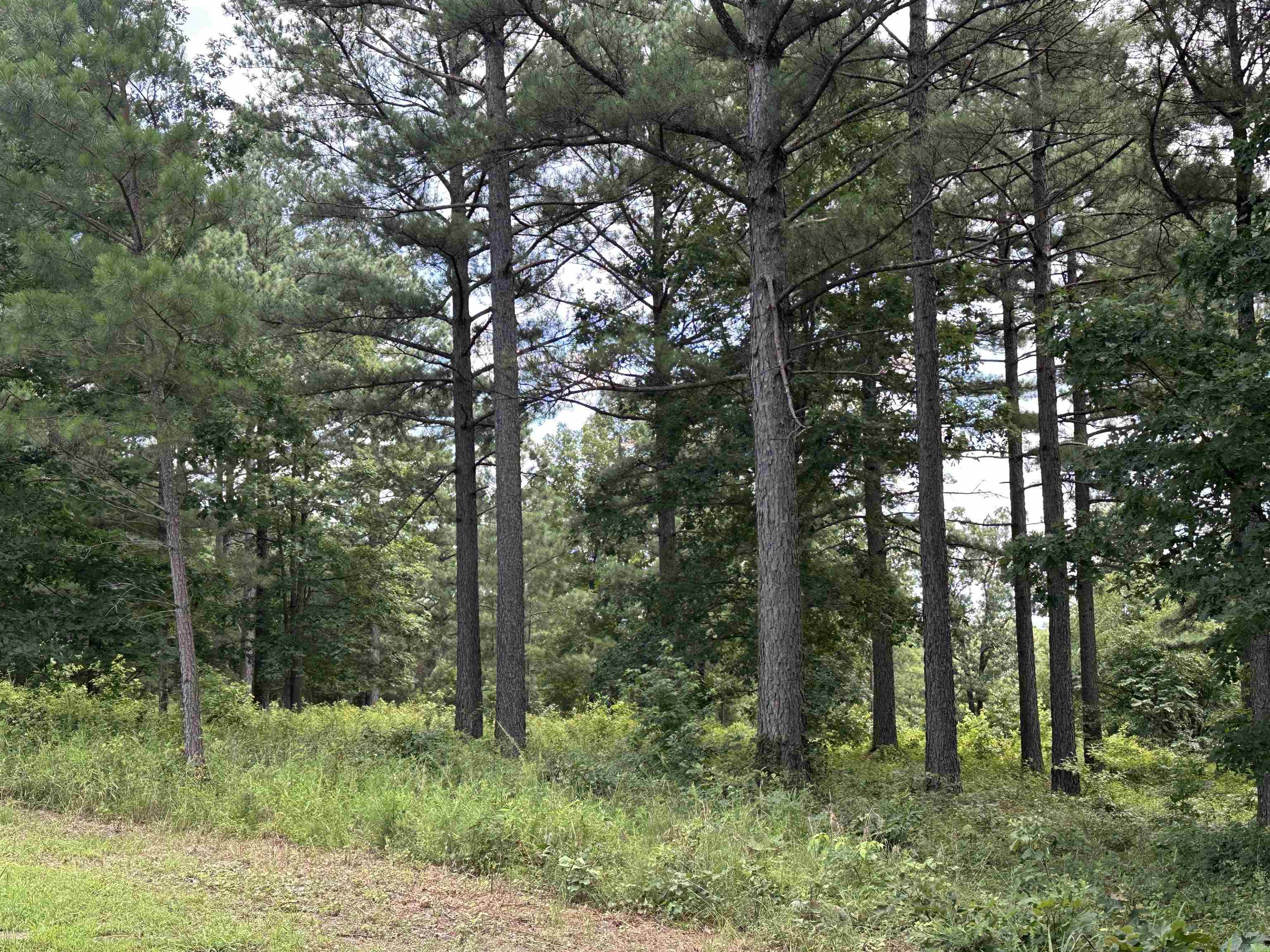 Holley Mountain Airpark - Land