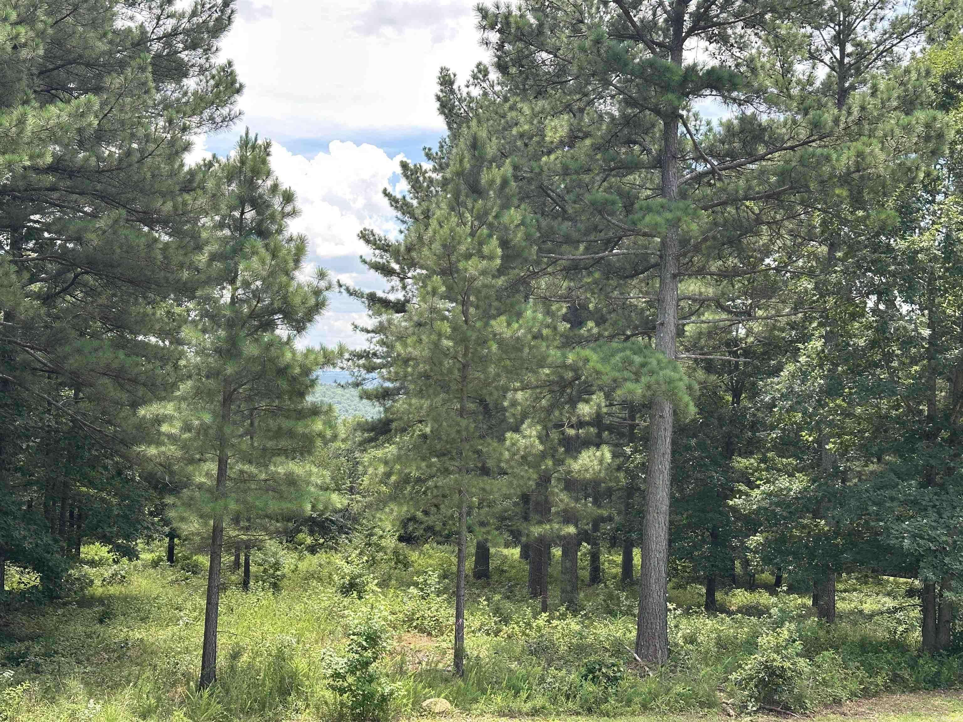 Holley Mountain Airpark - Land
