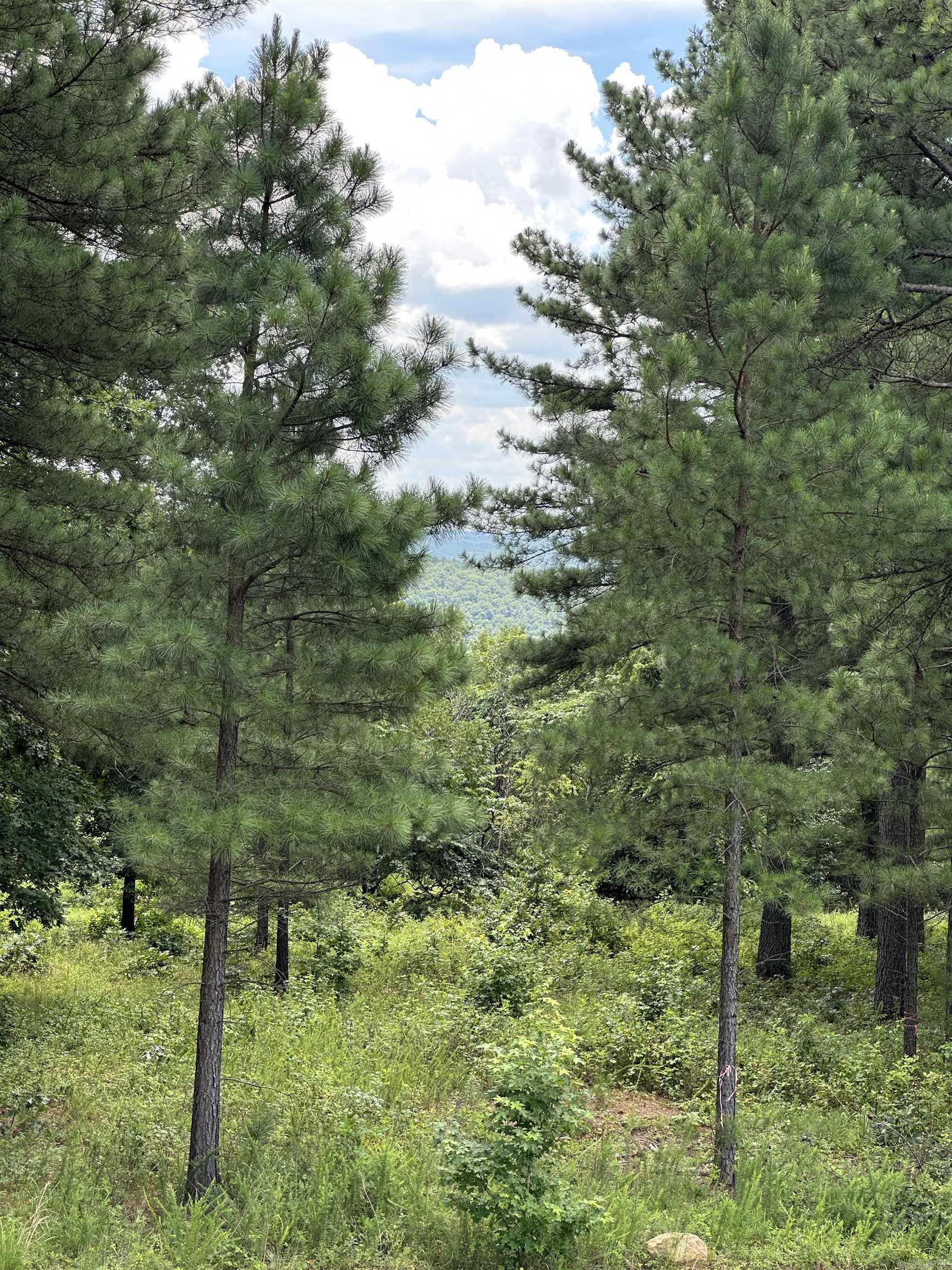 Holley Mountain Airpark - Land