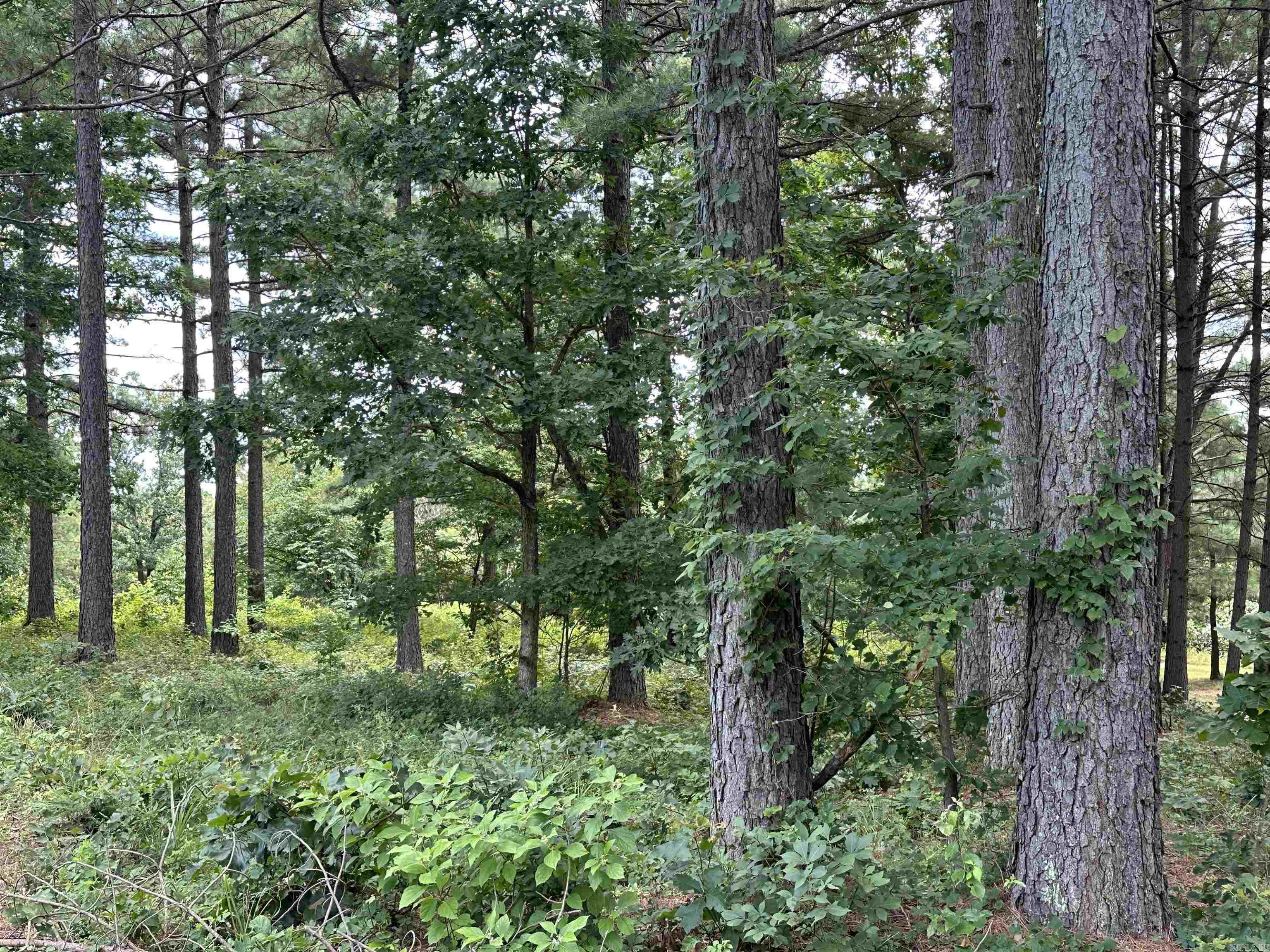 Holley Mountain Airpark - Land