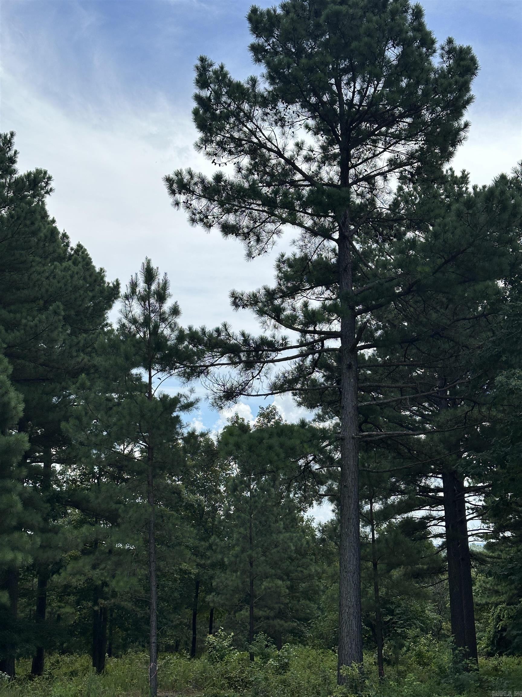 Holley Mountain Airpark - Land