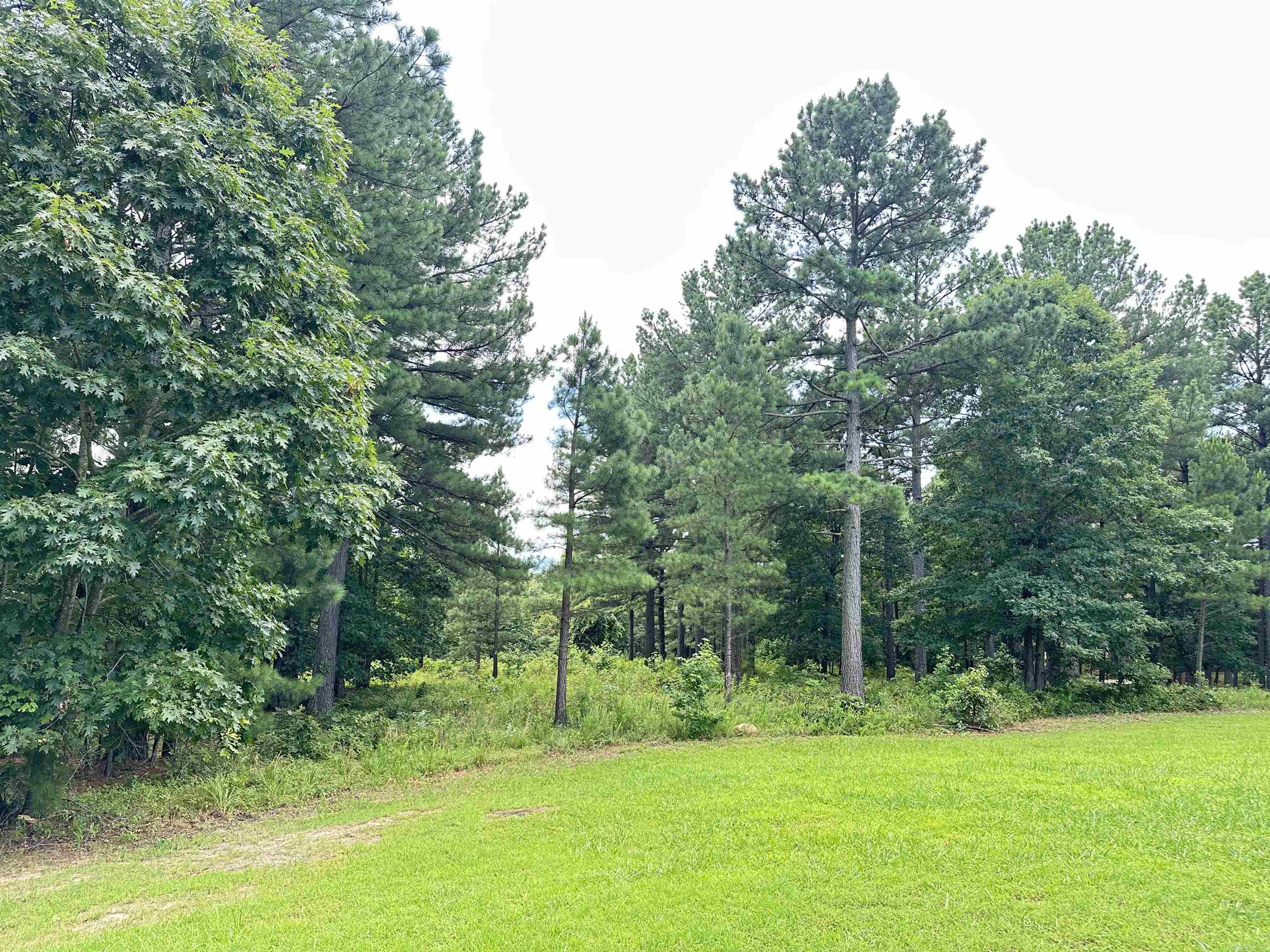 Holley Mountain Airpark - Land
