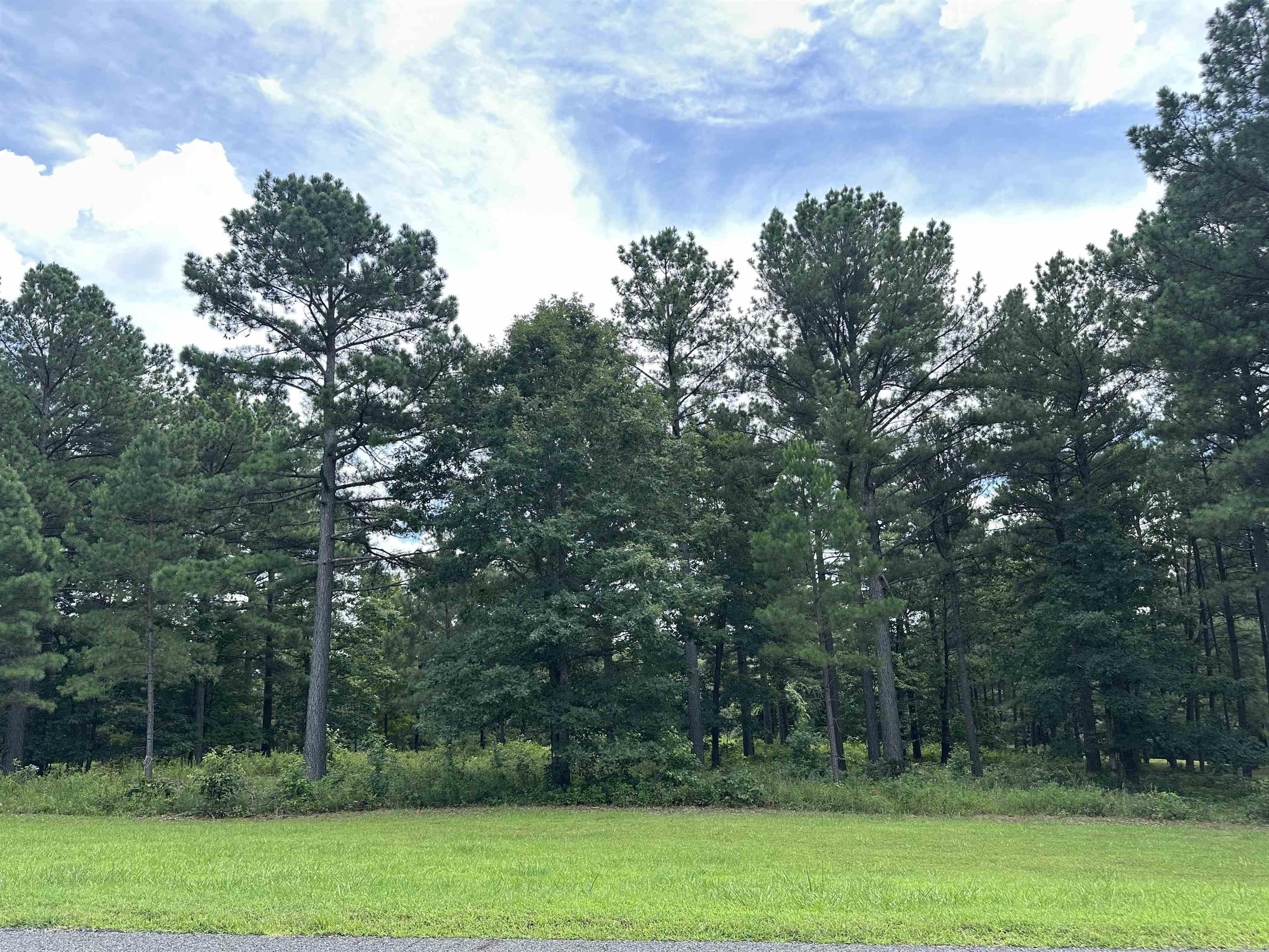 Holley Mountain Airpark - Land