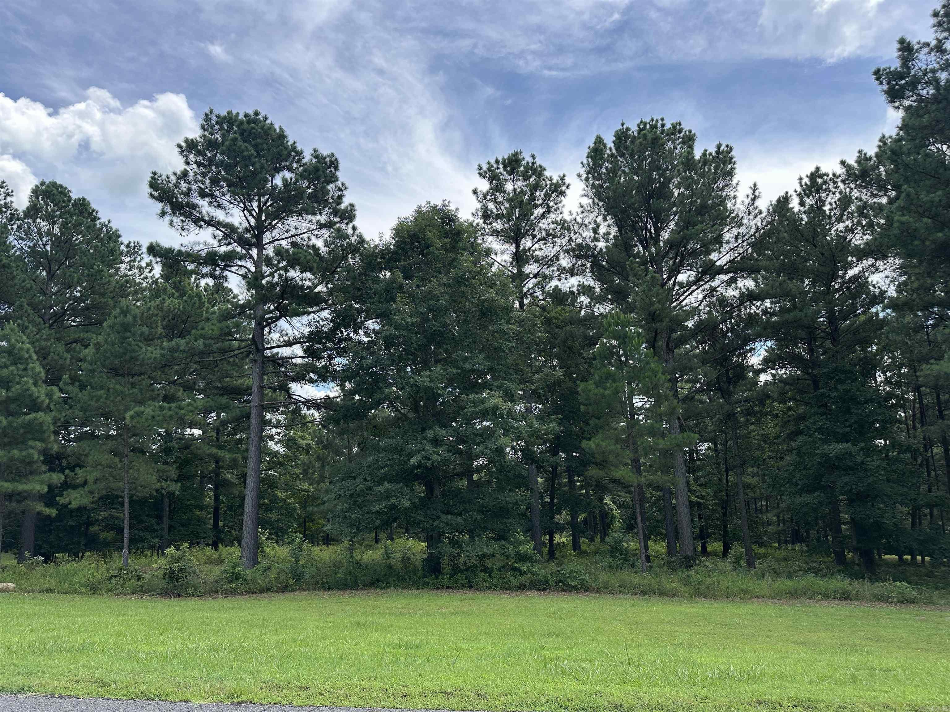 Holley Mountain Airpark - Land
