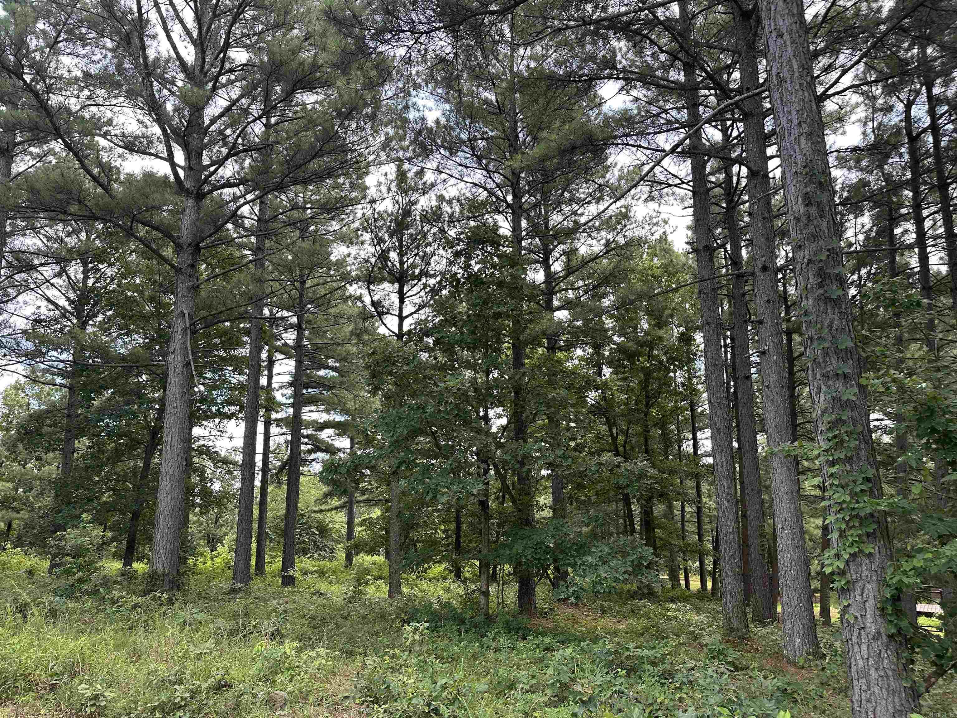 Holley Mountain Airpark - Land