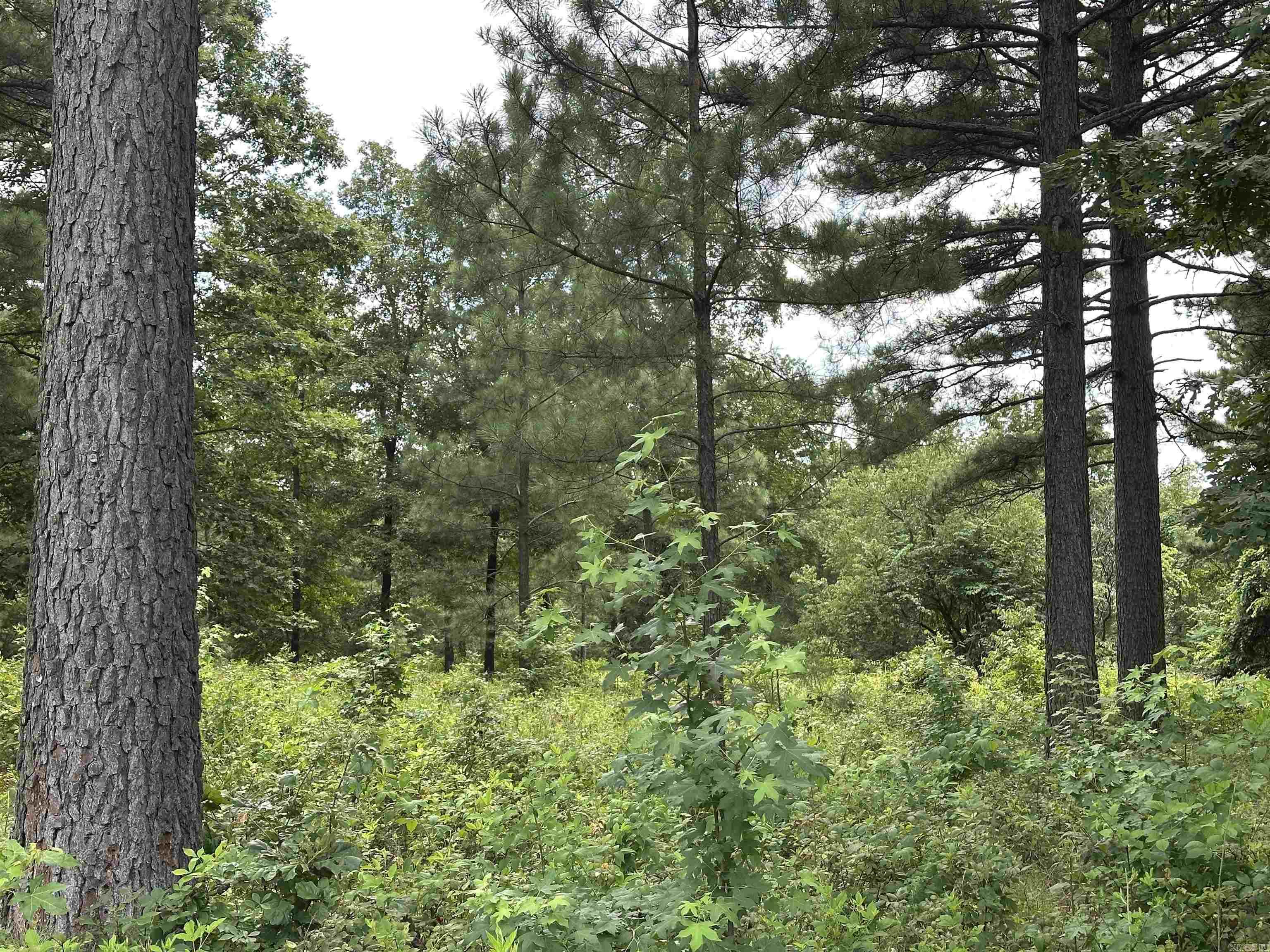 Holley Mountain Airpark - Land