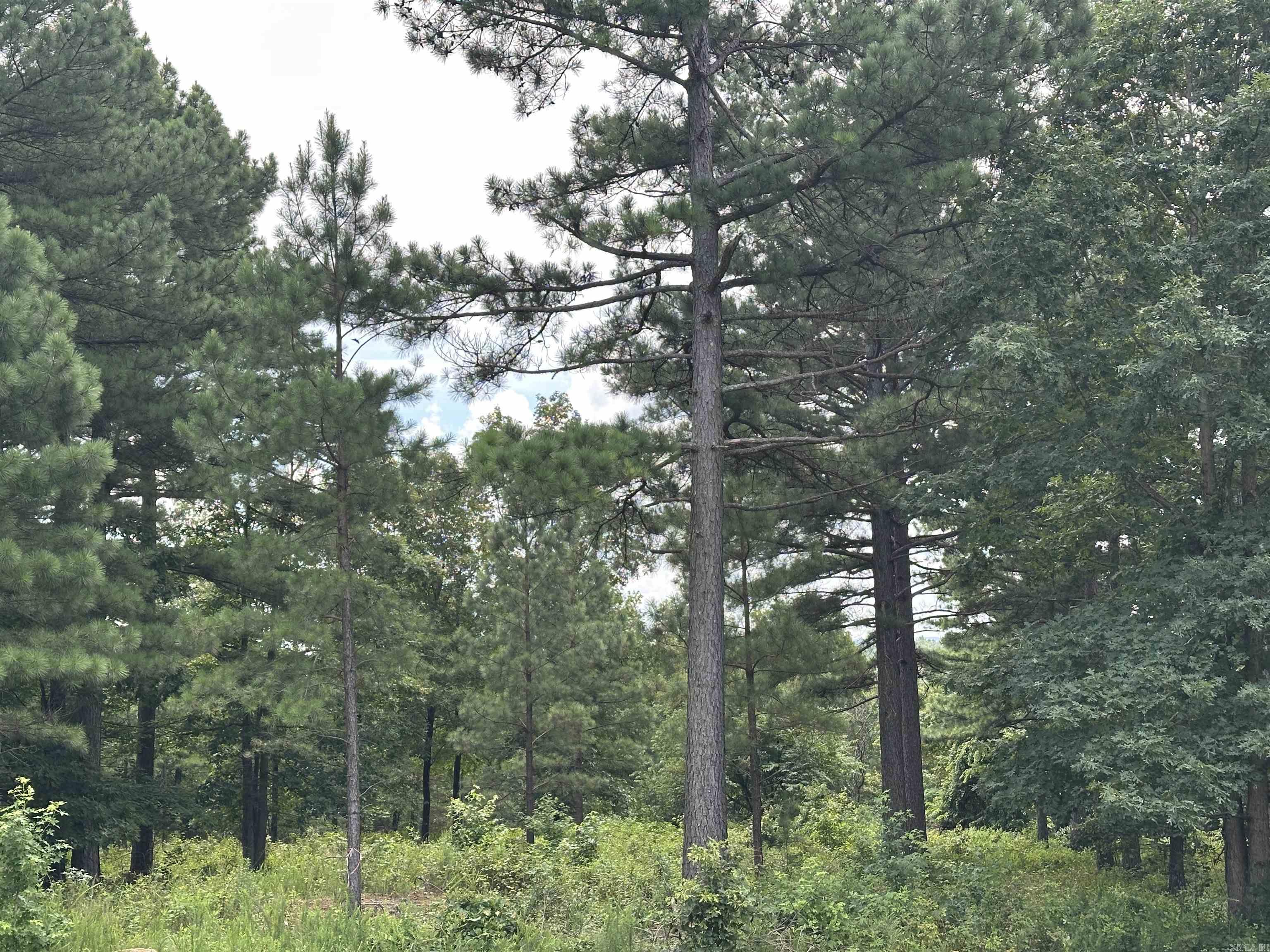 Holley Mountain Airpark - Land
