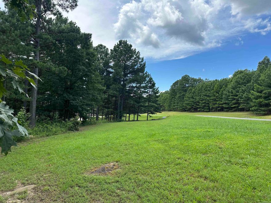 Imagine living inside a subdivision on a beautiful 3-acre lot surrounded by wildlife in a park-like setting where Holly Mountain Air-Park rises 800 feet above the valley below in the Boston Mountains, the southernmost range of the beautiful, expansive Ozark Mountains, surrounded by an array of outdoor activities, from hiking and hunting, to boating, canoeing and fishing to camping and caving. The runway is surrounded by aviation enthusiasts in a gated residential community. The greatest asset of the airpark is our property owners -some live here full time and some who come every chance they get! The rural city of Clinton, Arkansas, is 10 minutes away with a population of 2000 plus, offering a hospital, pharmacies, doctors' clinics, restaurants, a public school, Walmart, and Greers Ferry Lake is just another 7 minutes past Clinton. You can build your dream home and a hanger, or just a hanger with living quarters. This is a must-see property