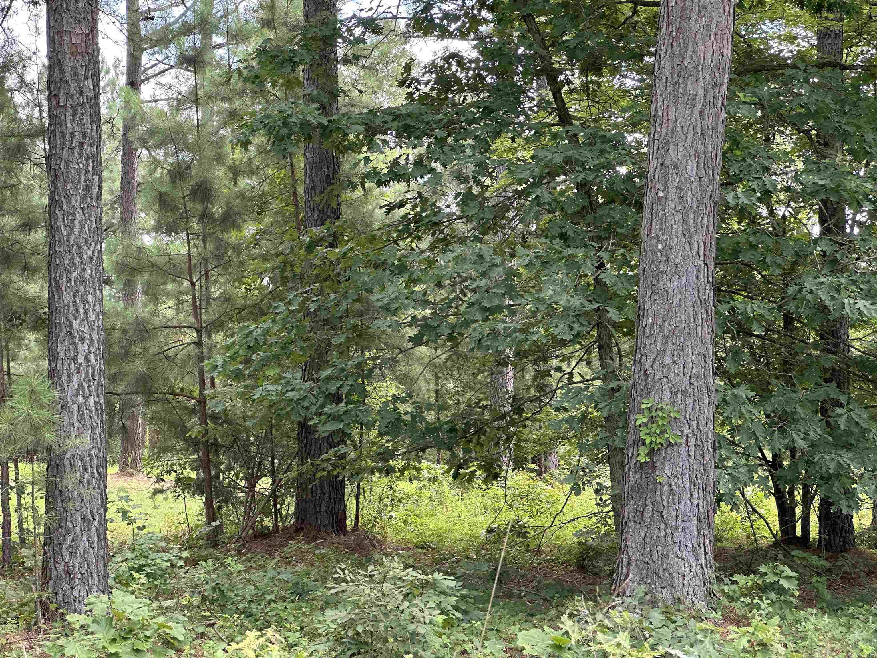 Holley Mountain Airpark - Land