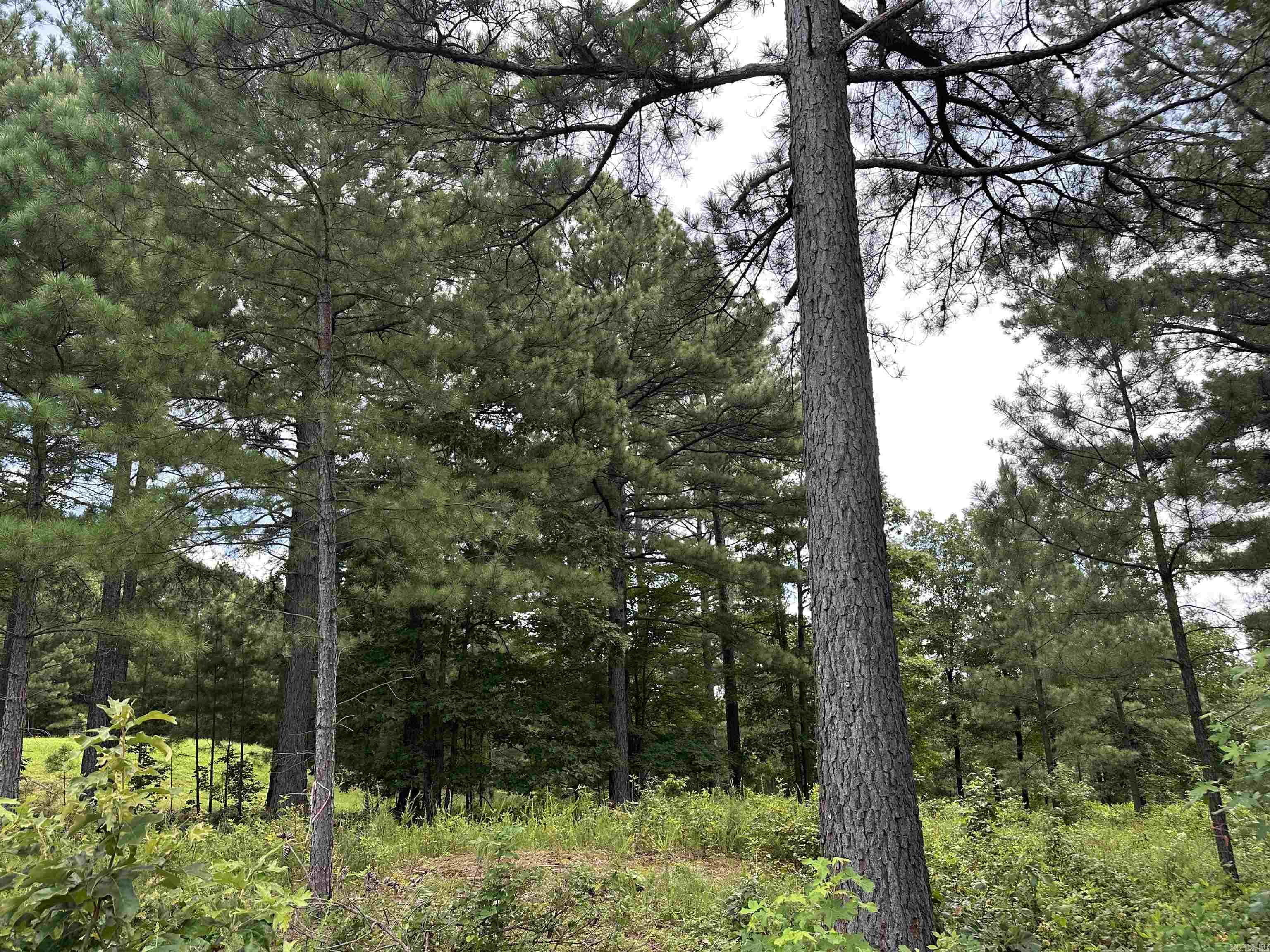 Holley Mountain Airpark - Land