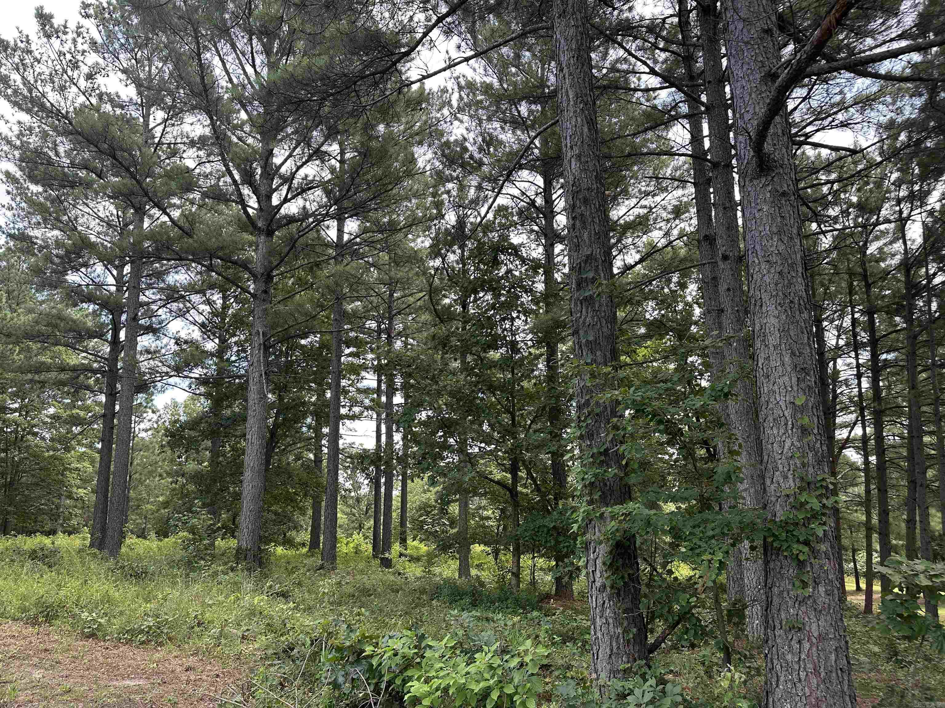 Holley Mountain Airpark - Land